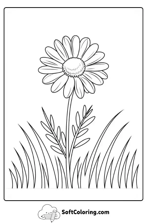 Daisy In A Field Coloring Page