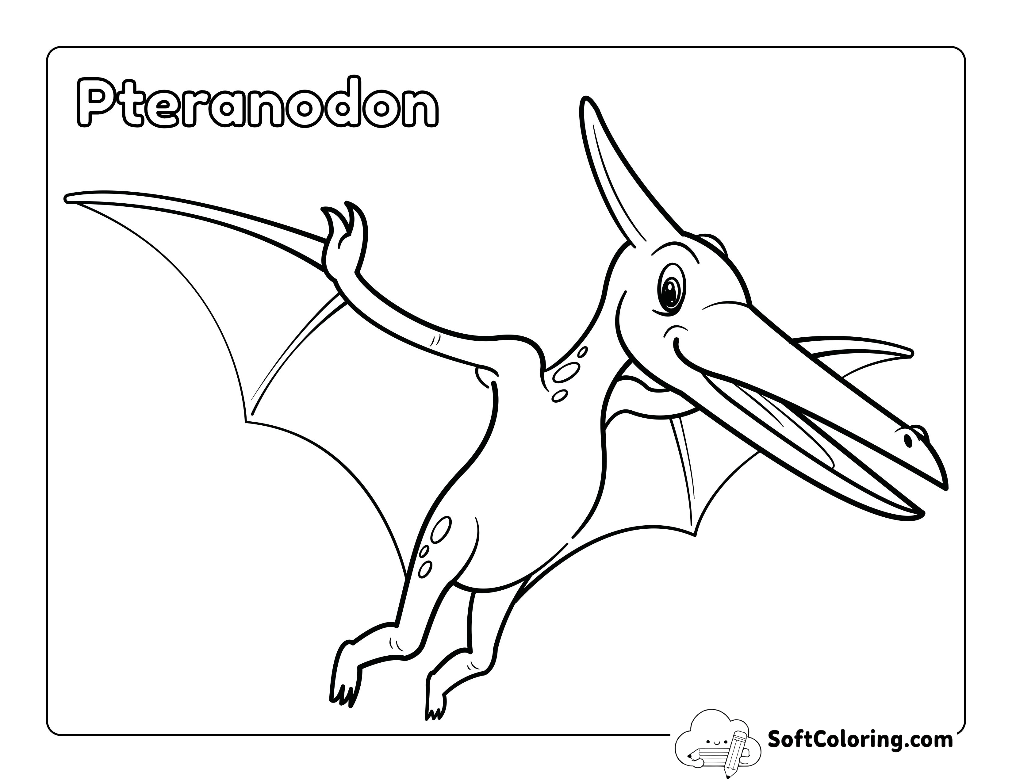 Pteranodon Coloring Page for Preschoolers - Easy