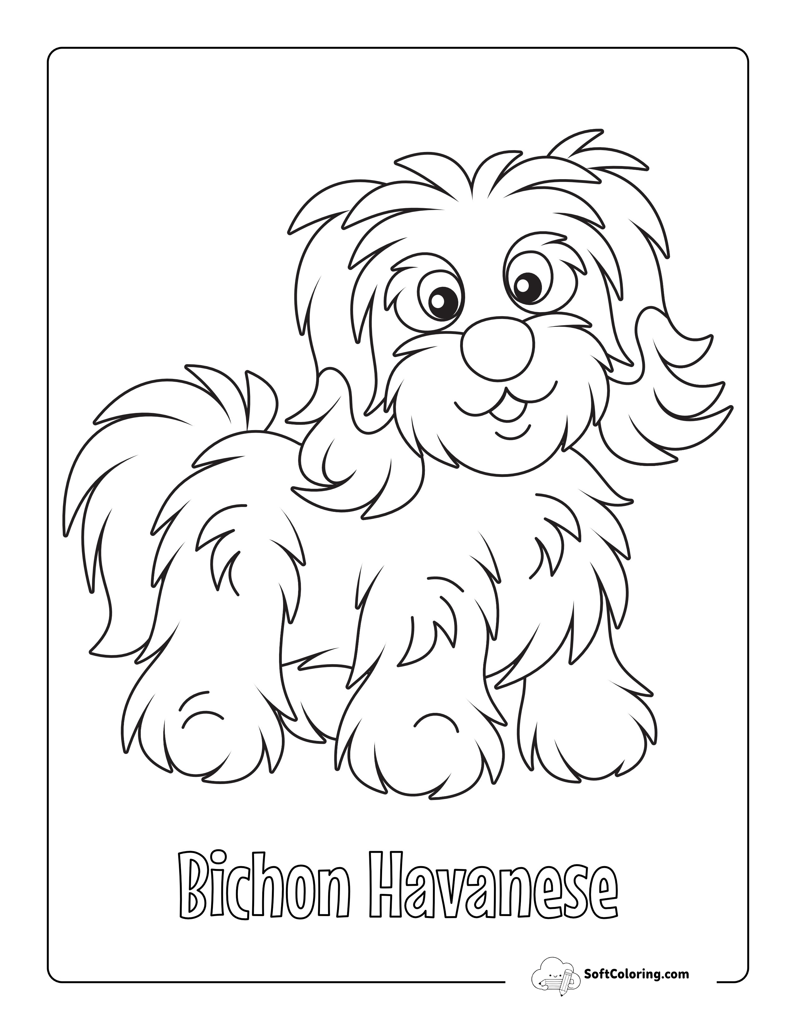 Bichon Havanese Cute Puppy Coloring Sheet