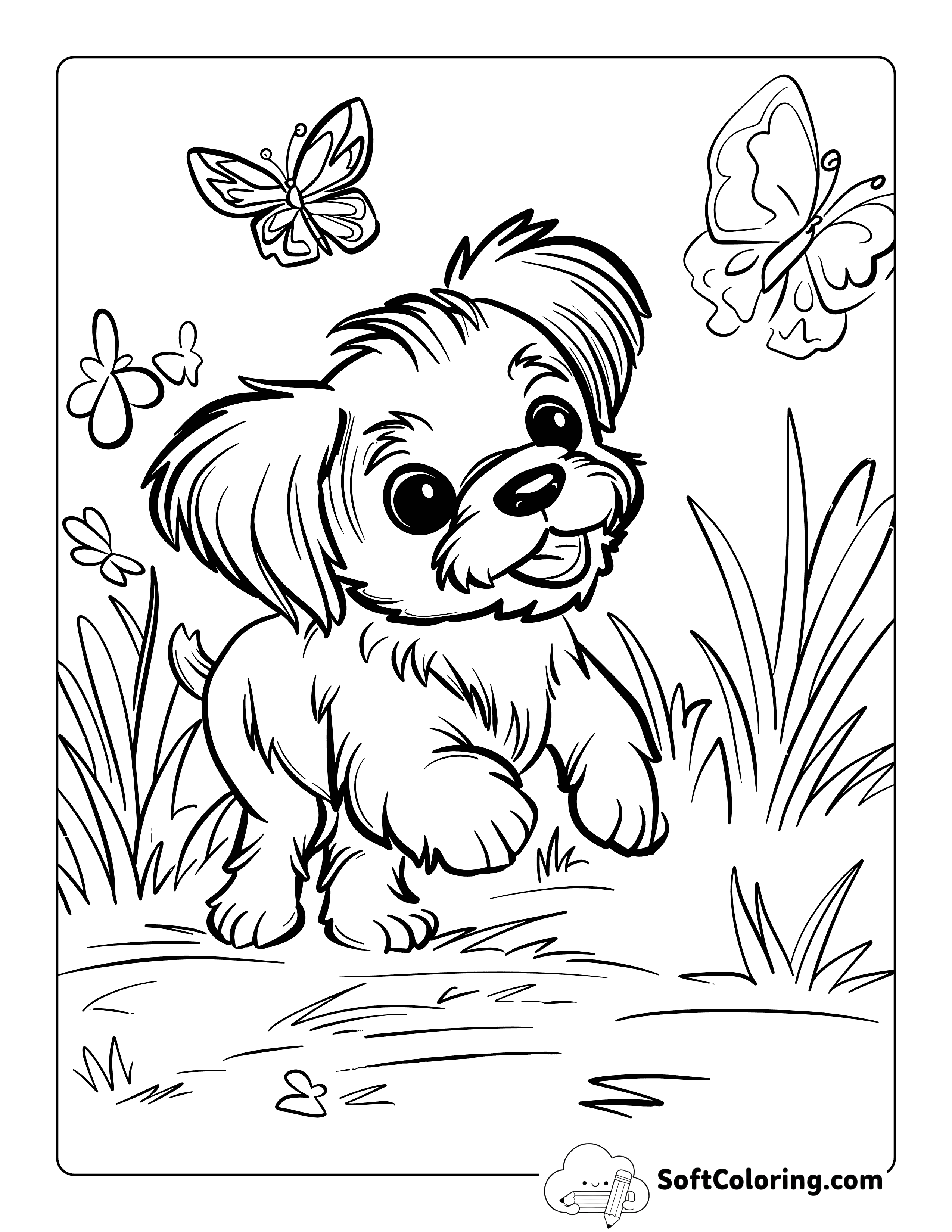 Precious Shihtzu Playing with Butterflies Coloring Page