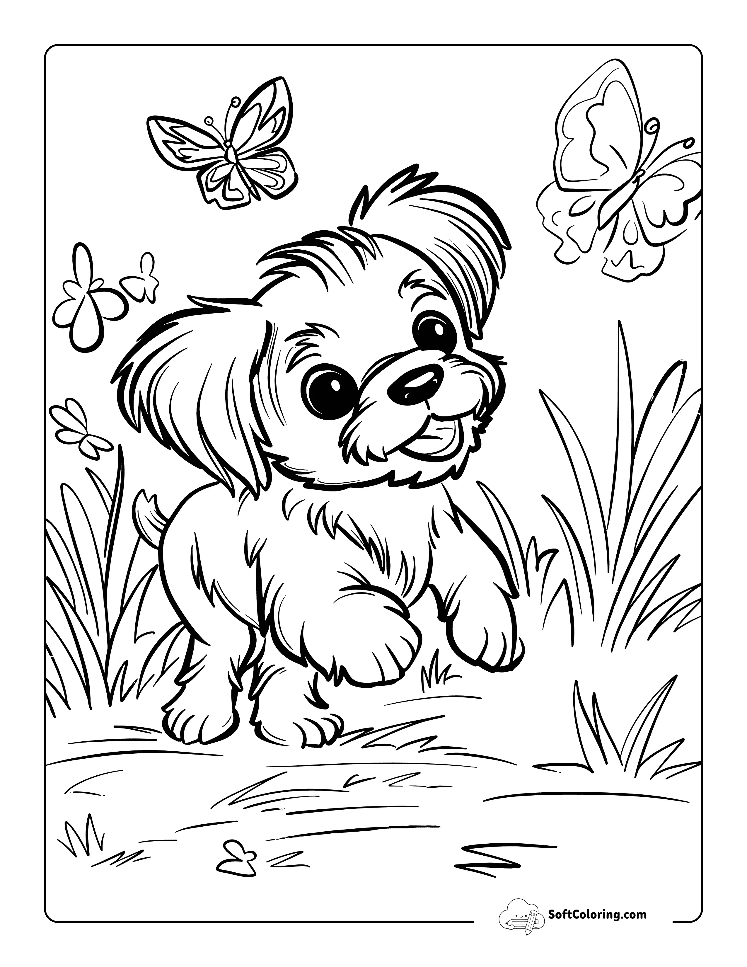 Precious Shihtzu Playing With Butterflies Coloring Page