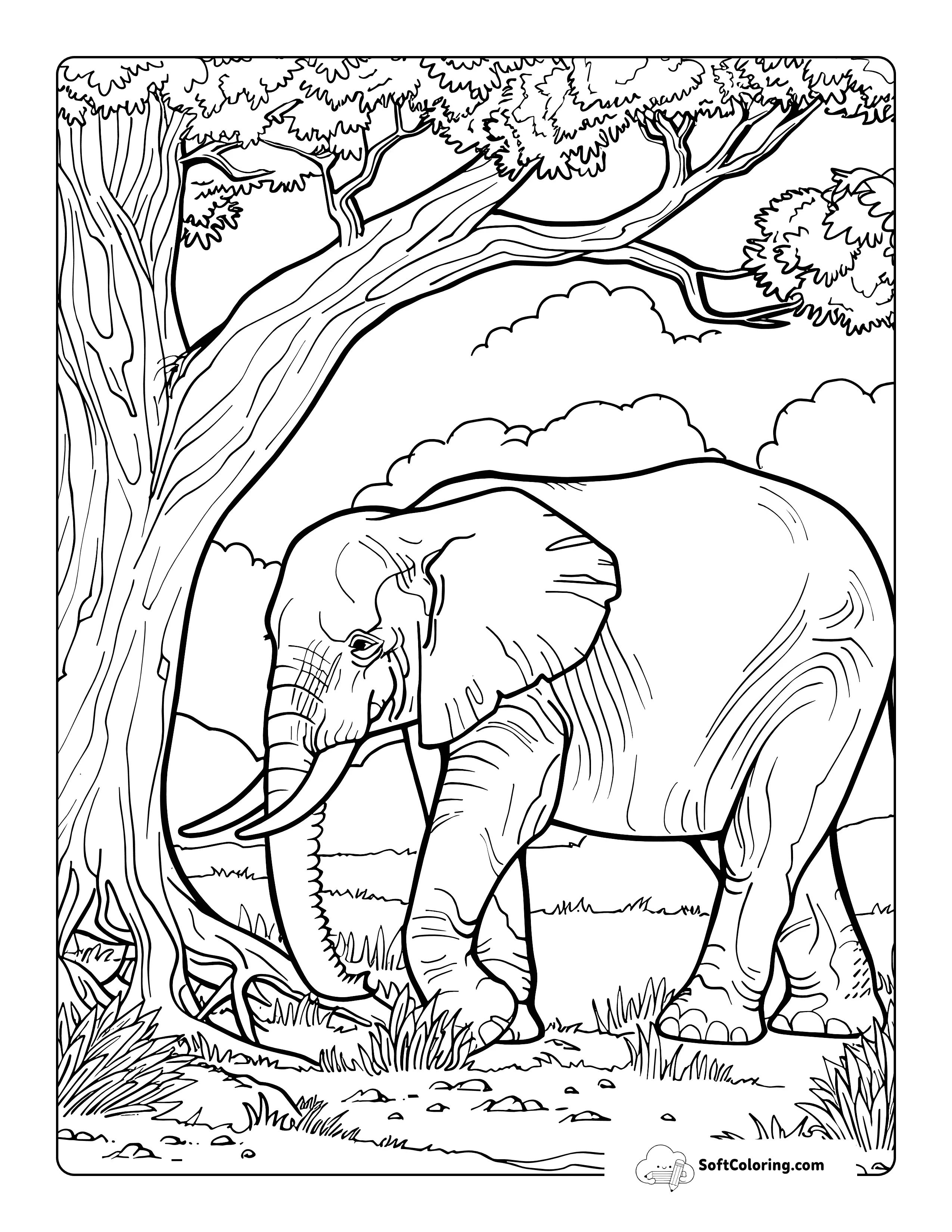 Realistic Elephant Under Tree Coloring Sheet Printable