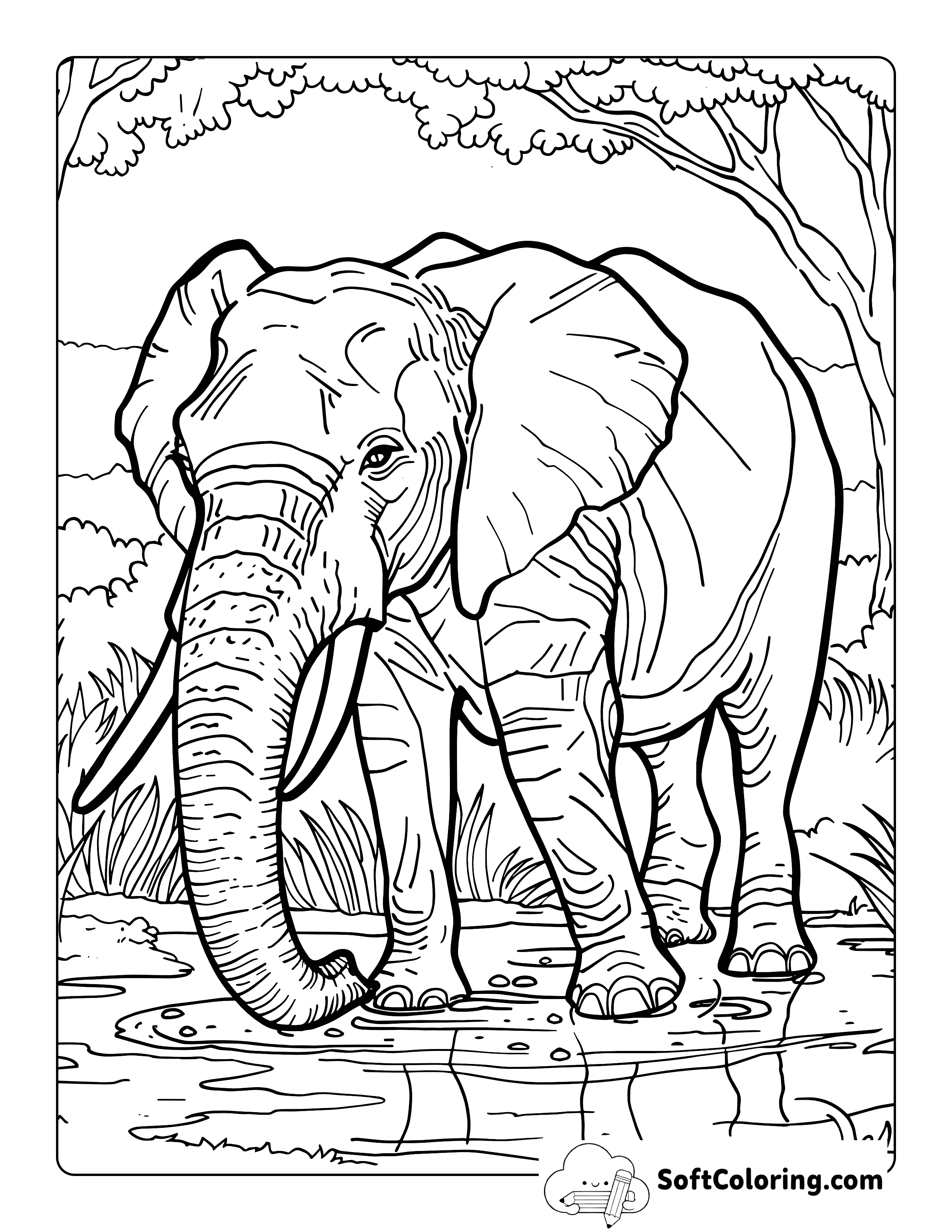 Realistic Elephant Coloring Page for Adults