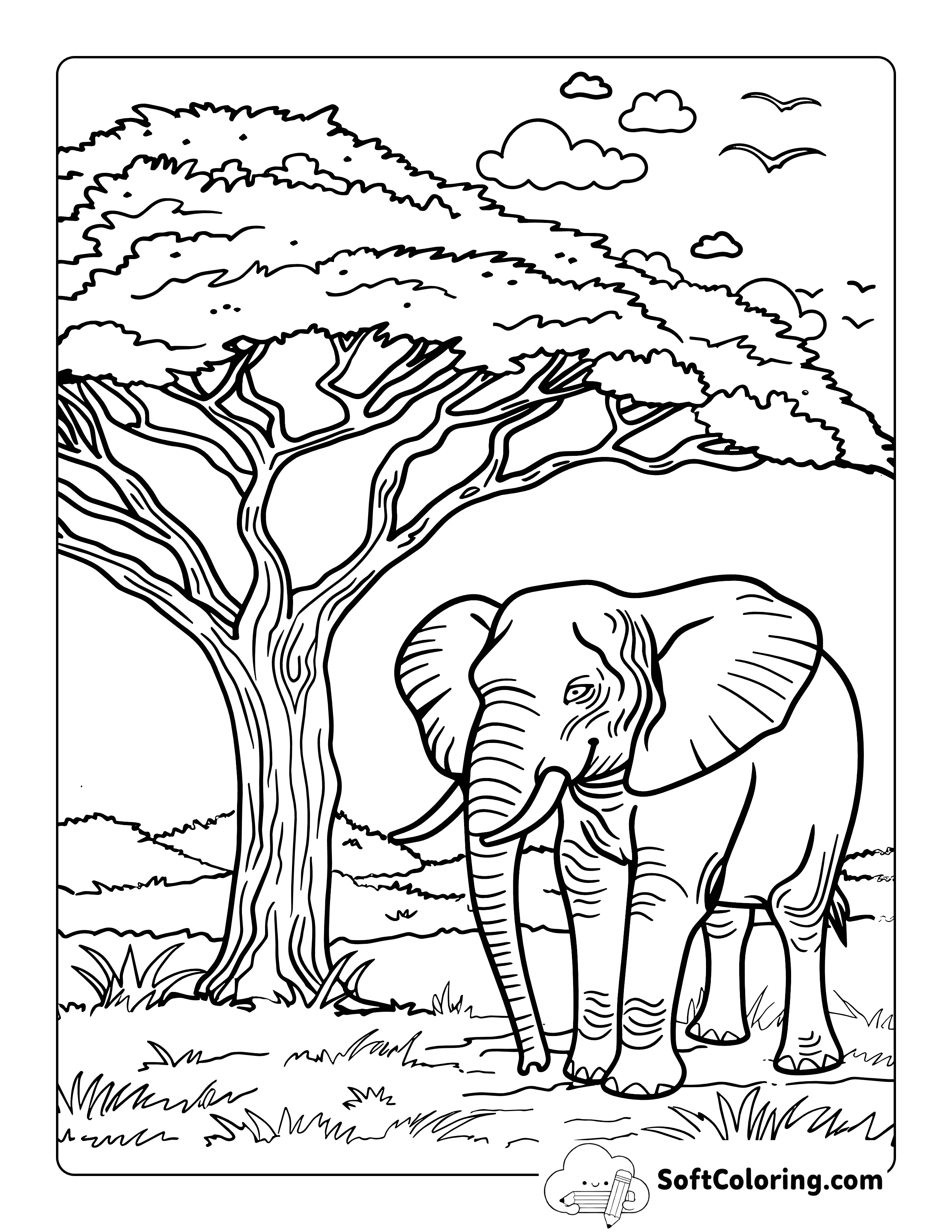 Easy Realistic Elephant Coloring Page Printable