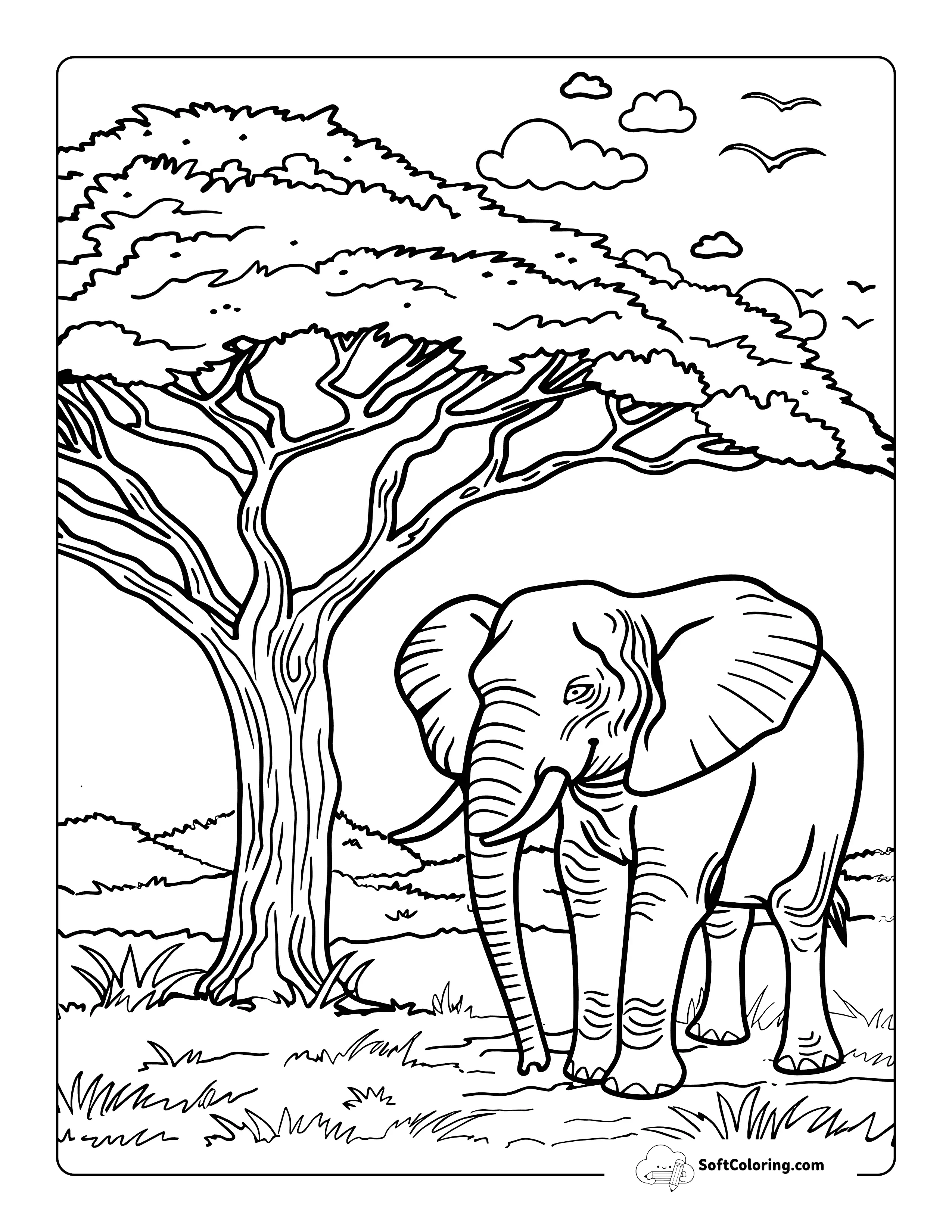 Easy Realistic Elephant Coloring Page Printable