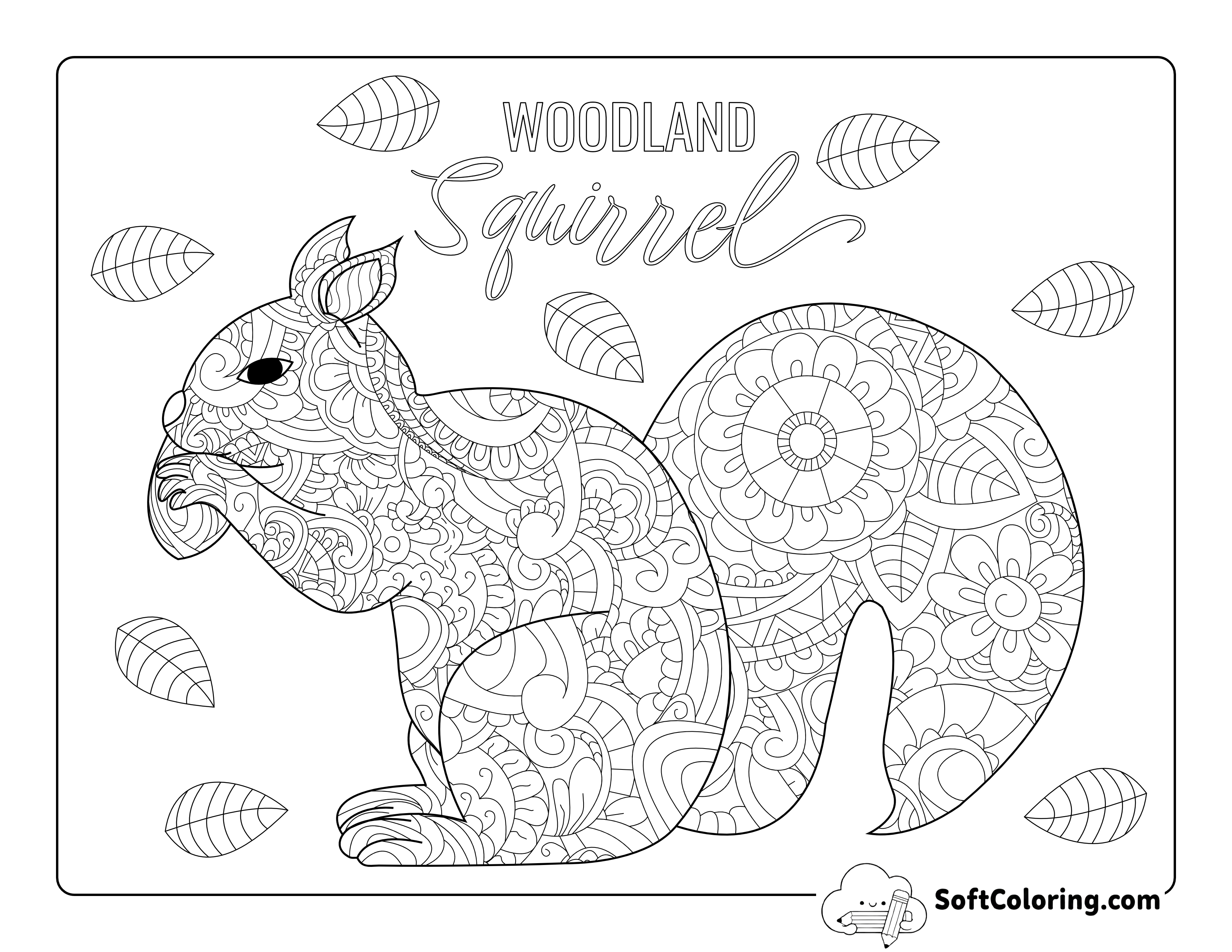 Squirrel - Animals Adult Coloring Page