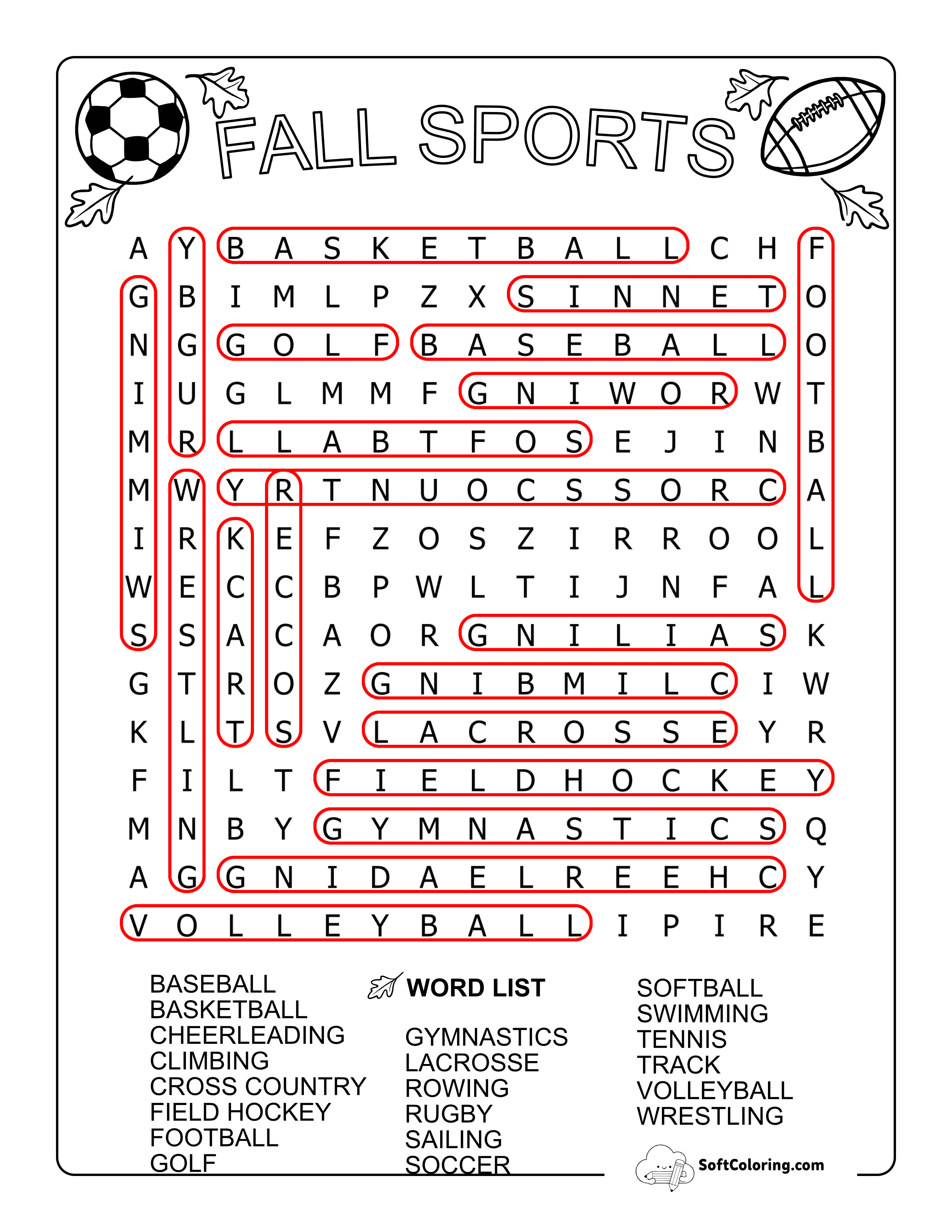 Medium Sports Solution