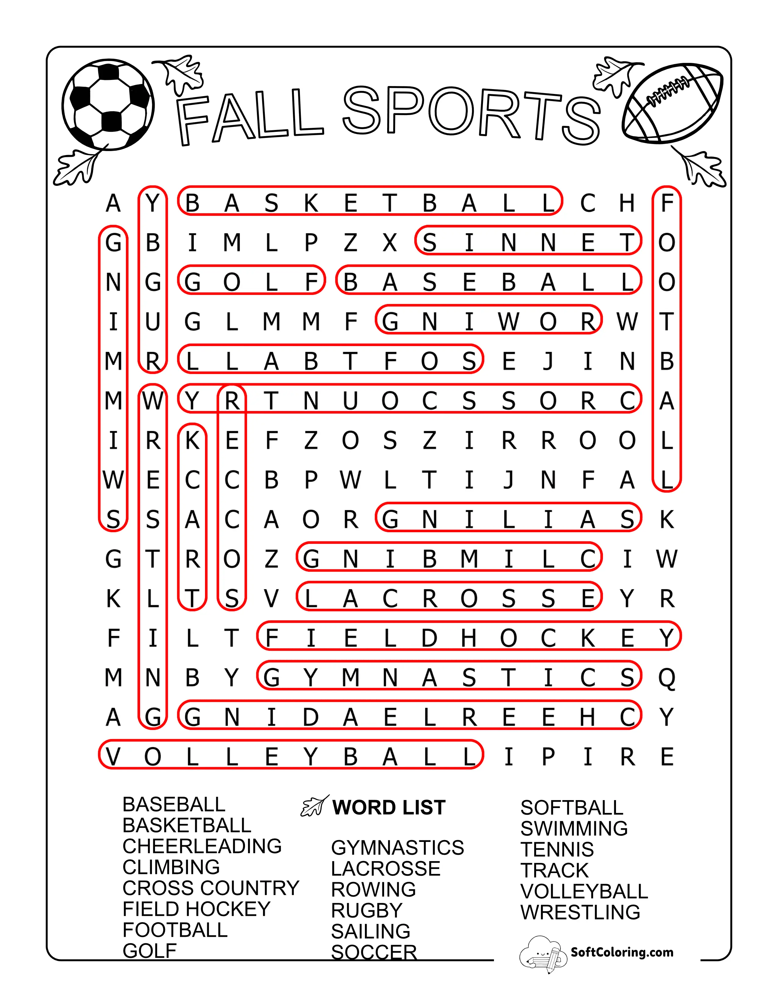 Medium Sports Solution