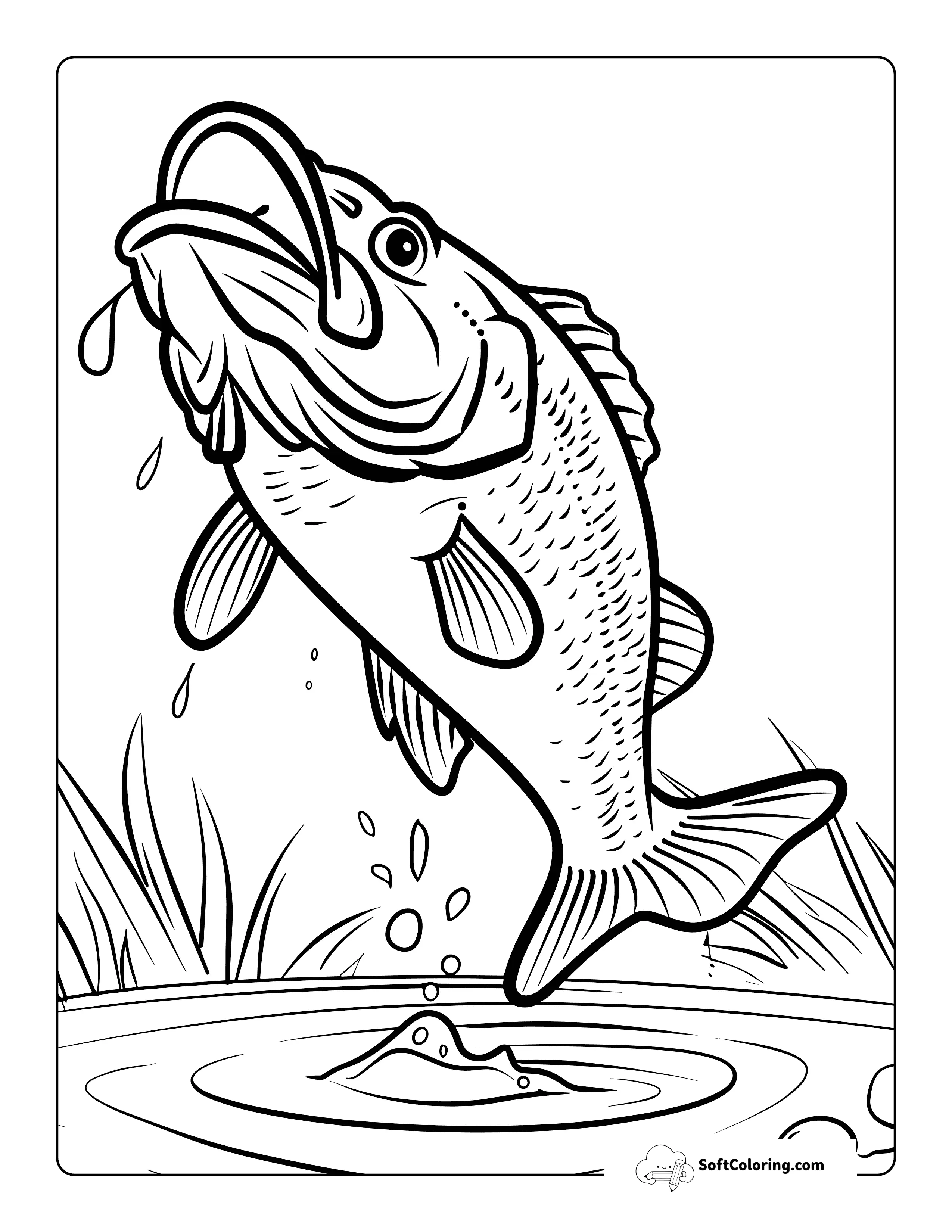 Simple Bass Coloring Page For Kids