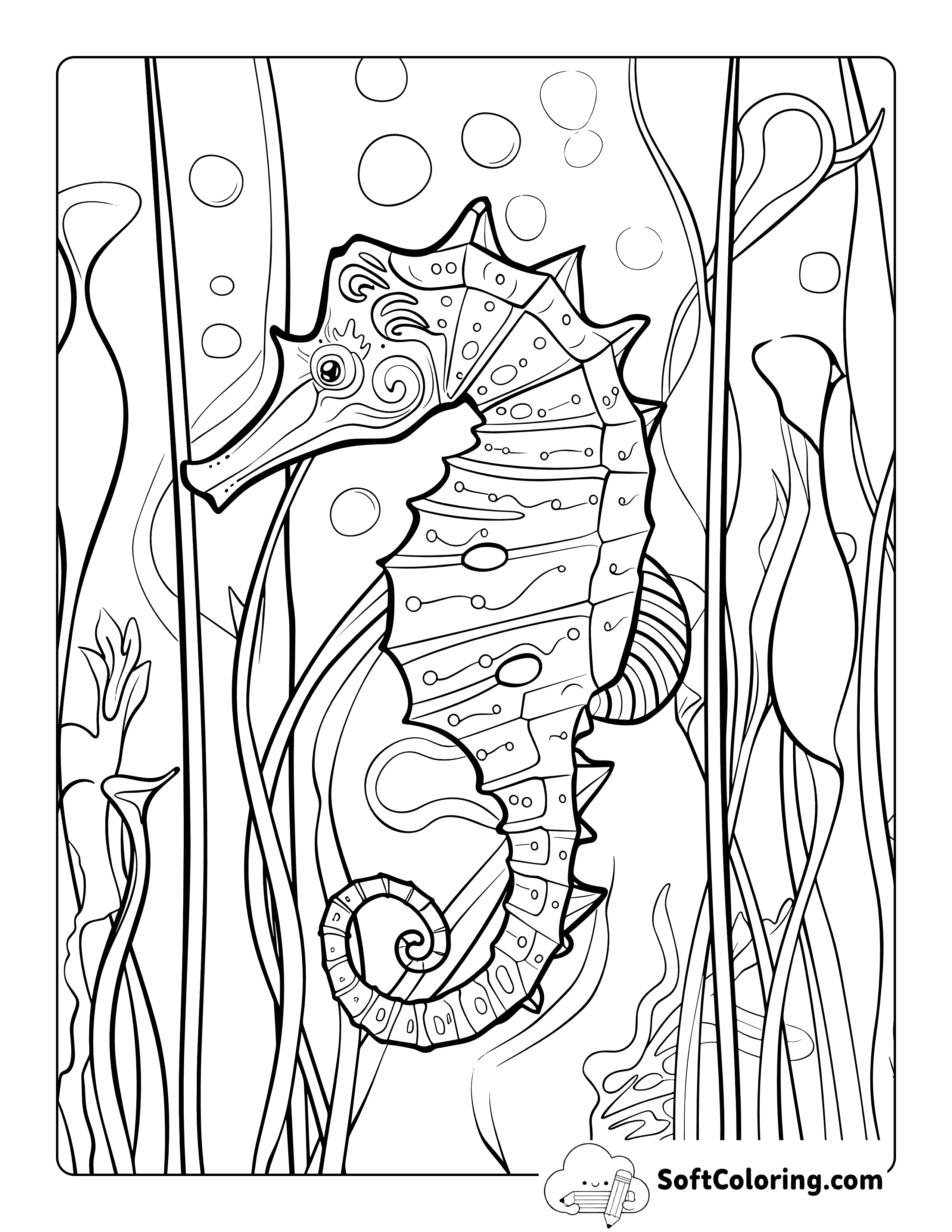 Seahorse Sea Animal Coloring Page