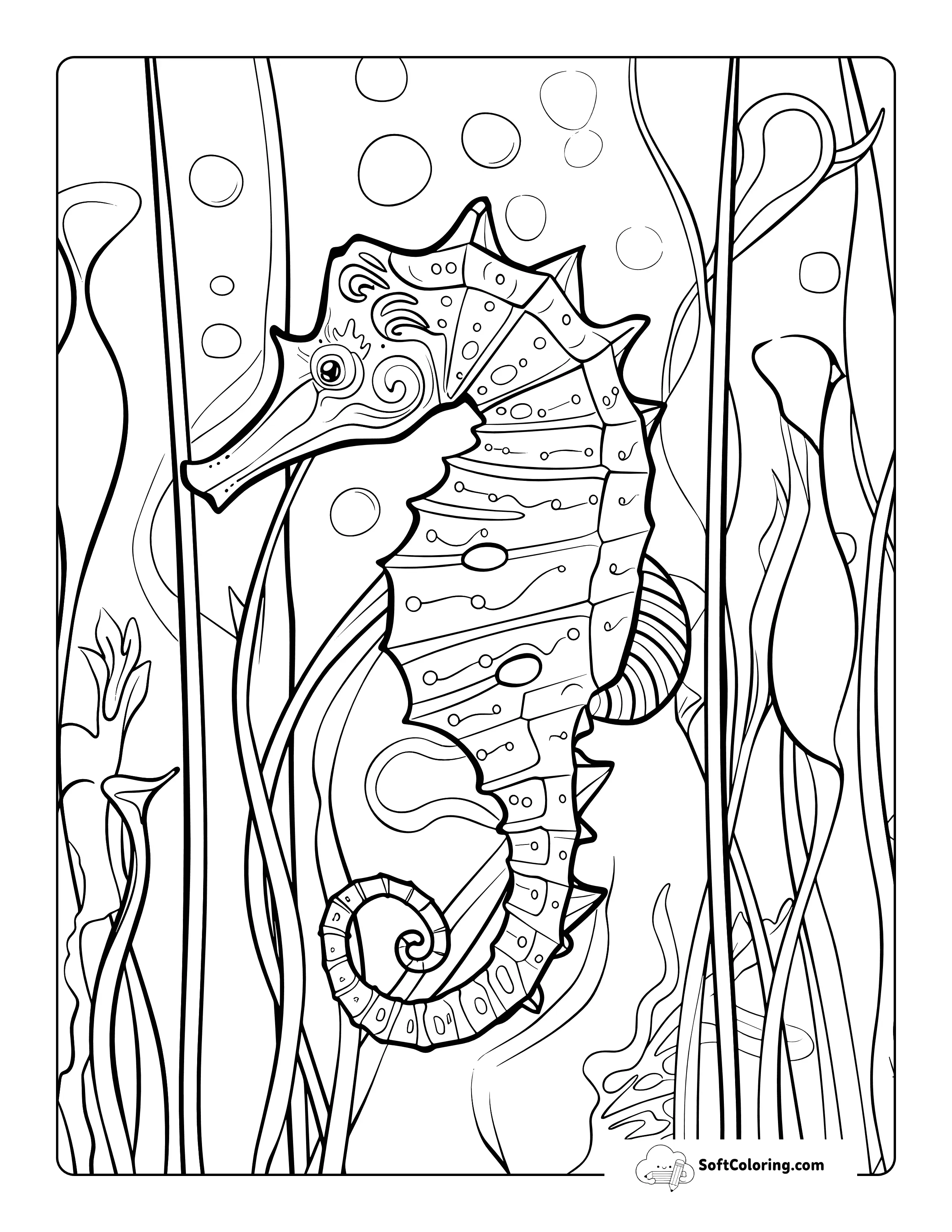 Seahorse Aesthetic Coloring Page For Adults And Teens