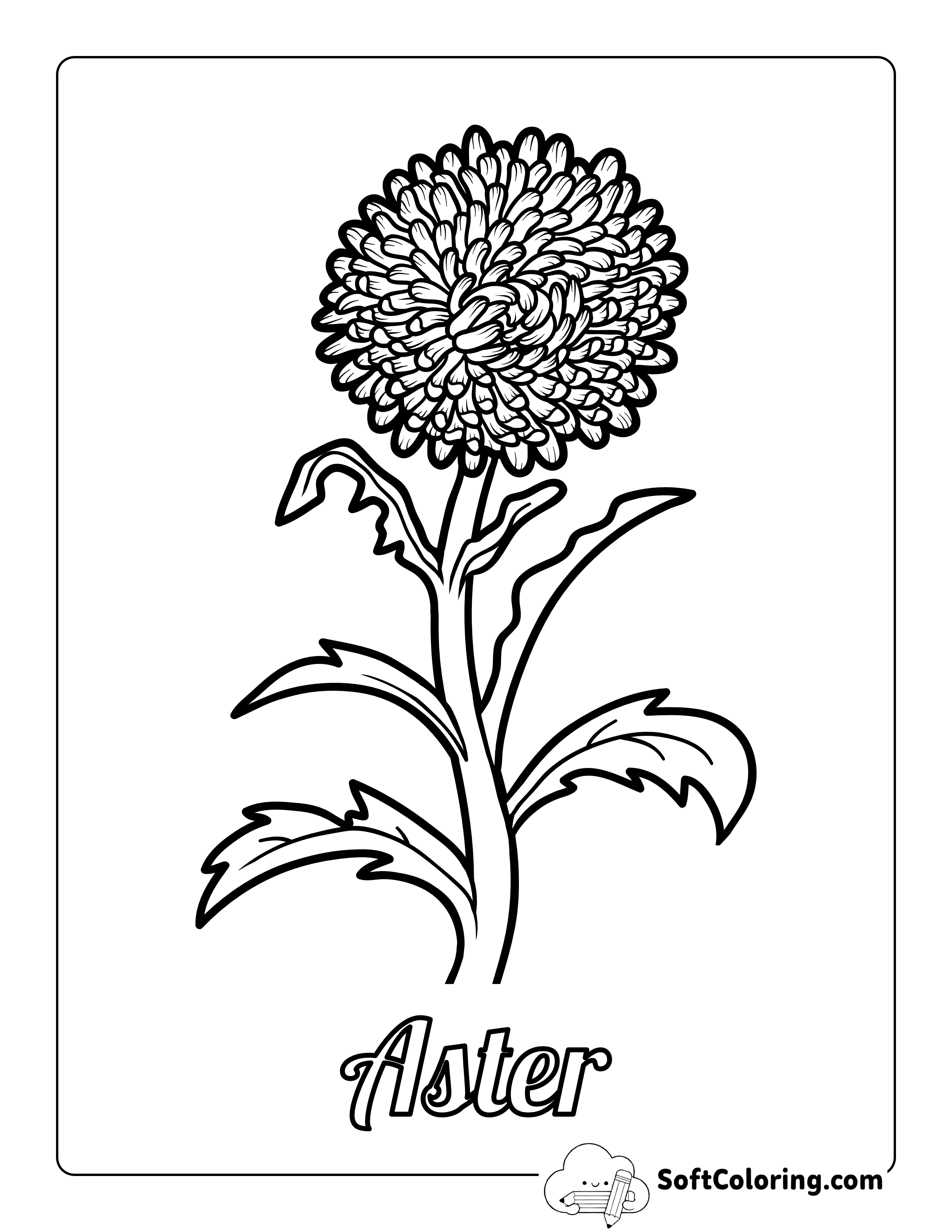 Aster Flower Outline