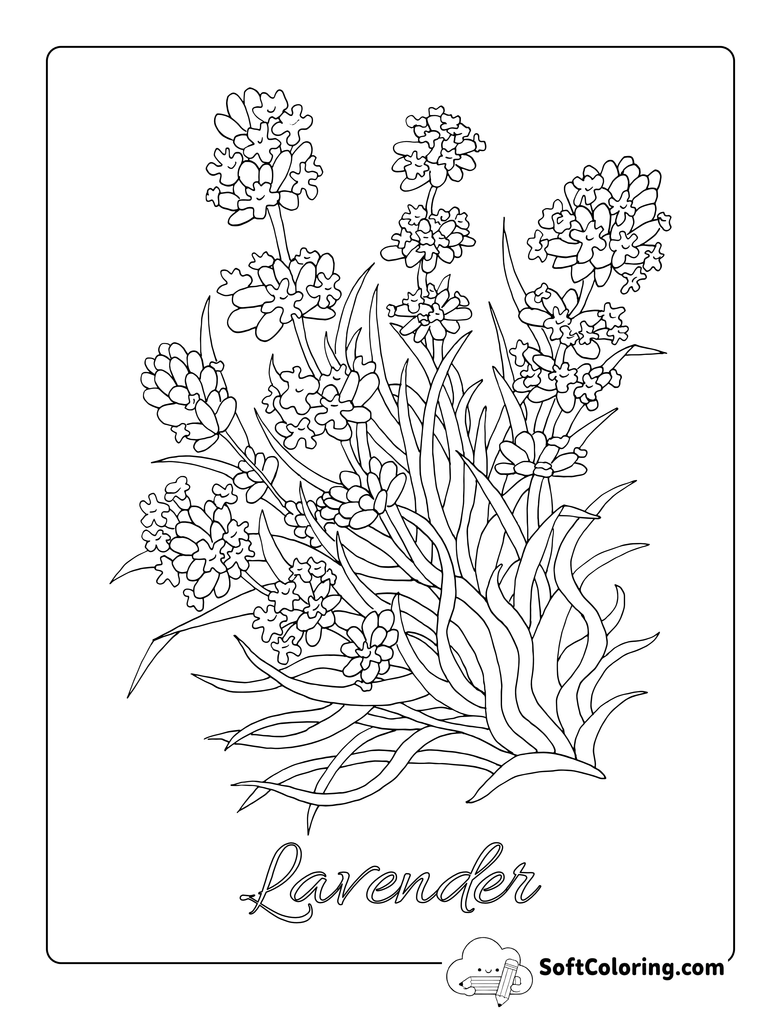 Realistic Lavender Flower Outline