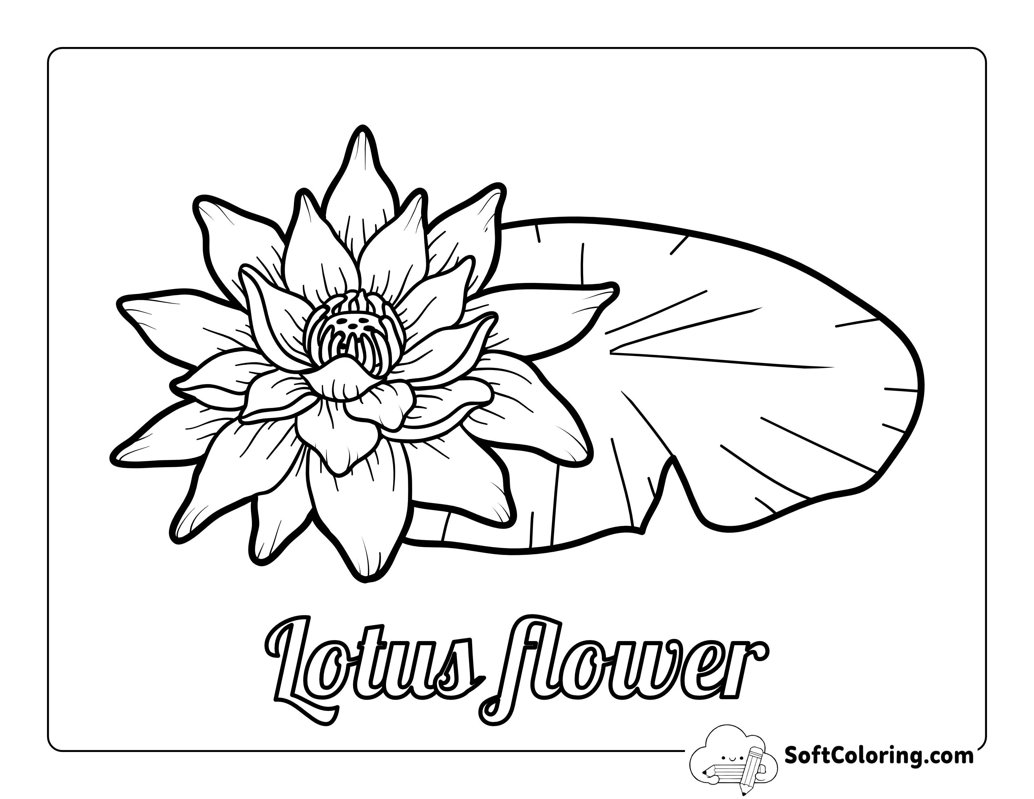 Lotus Flower Outline