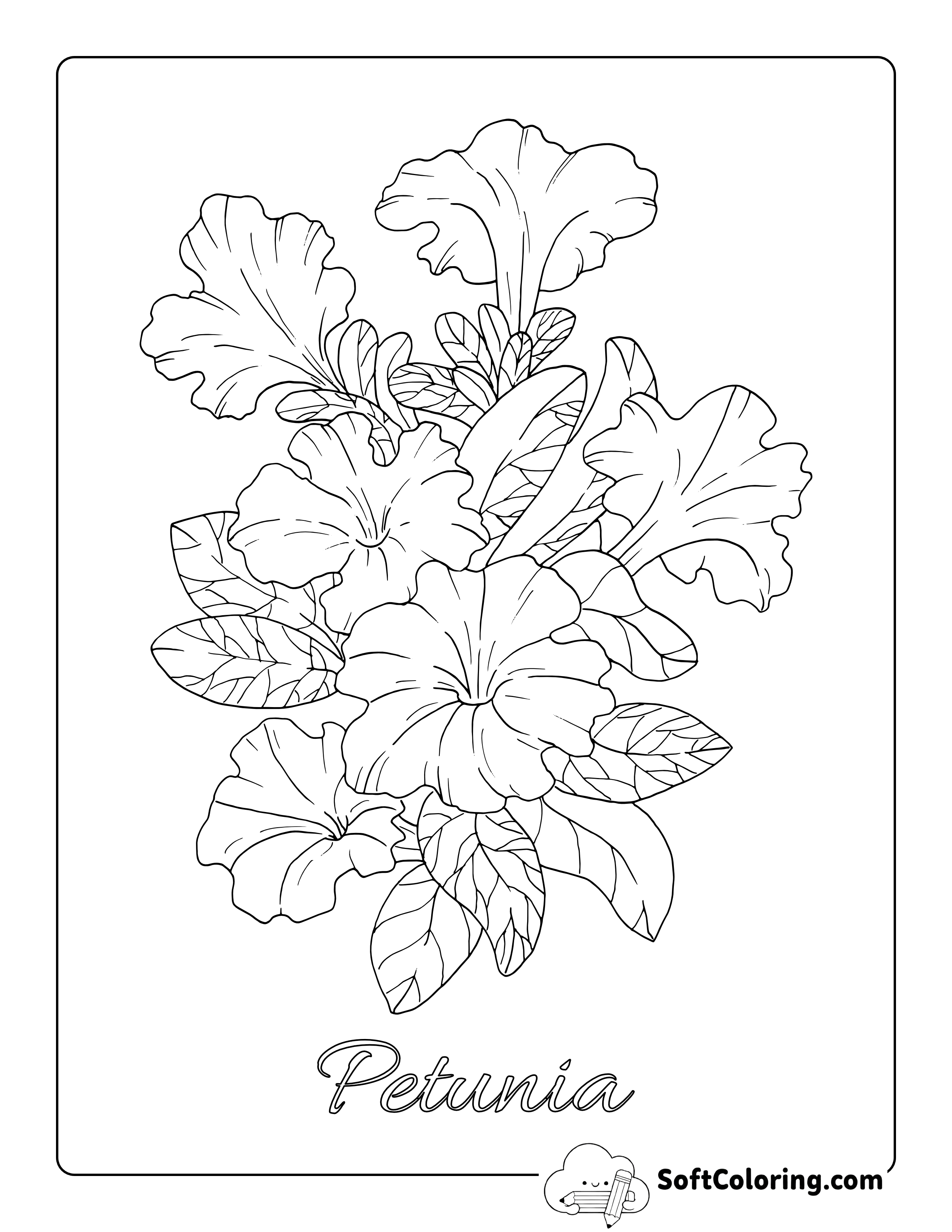 Realistic Petunia Picture