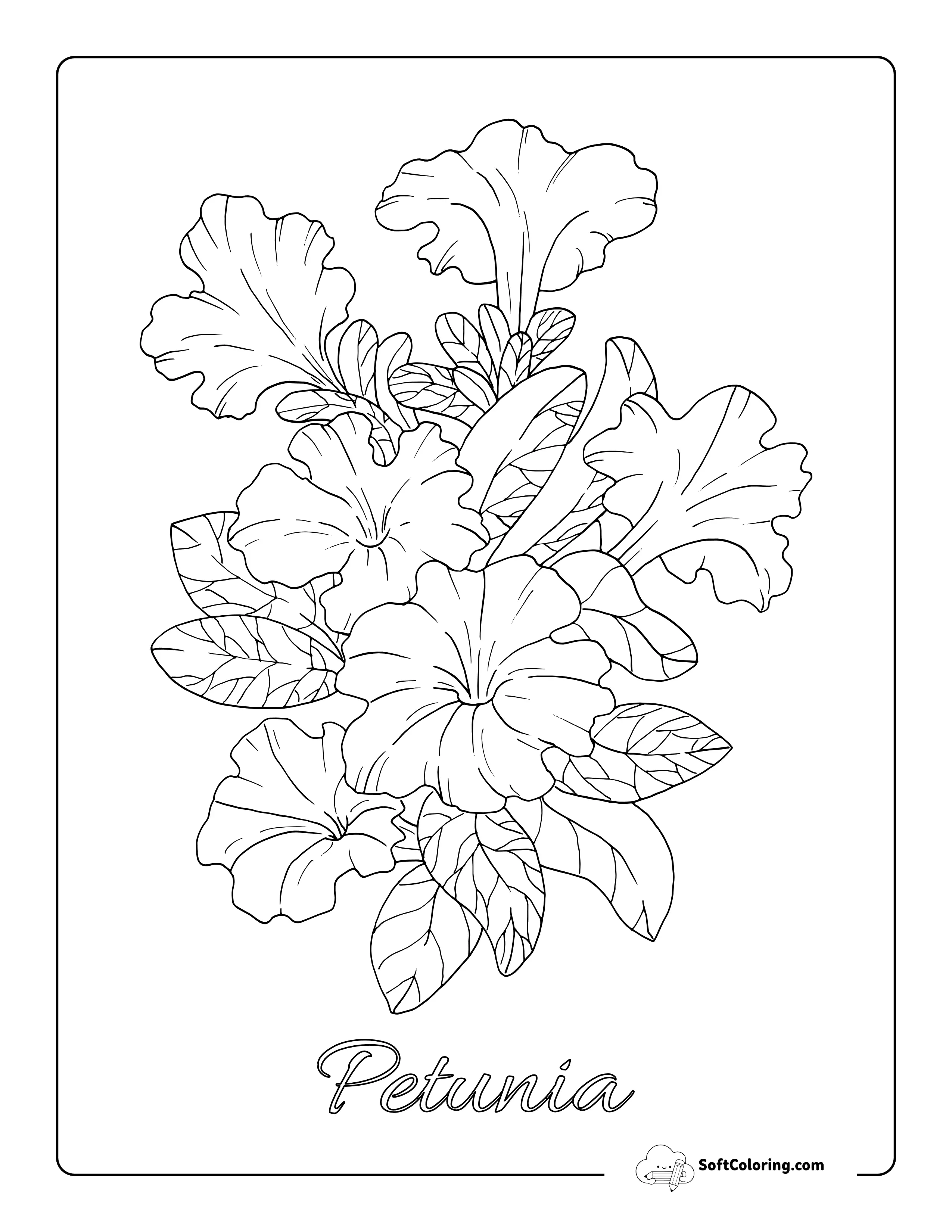 Realistic Petunia Coloring Sheet