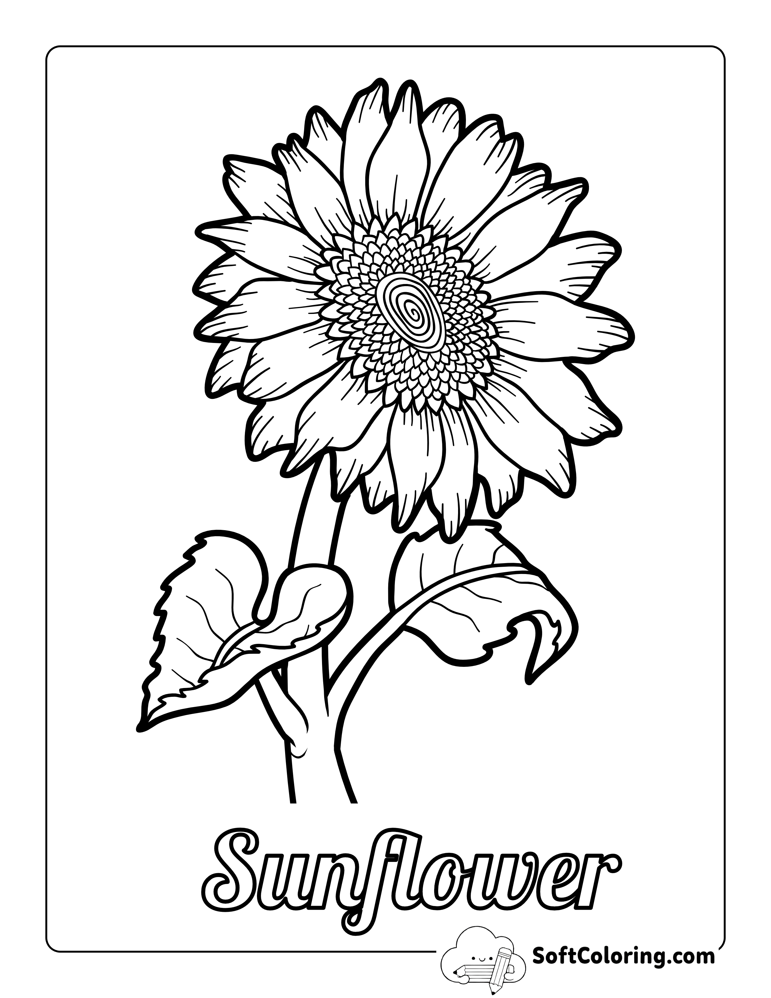 Printable Sunflower Outline