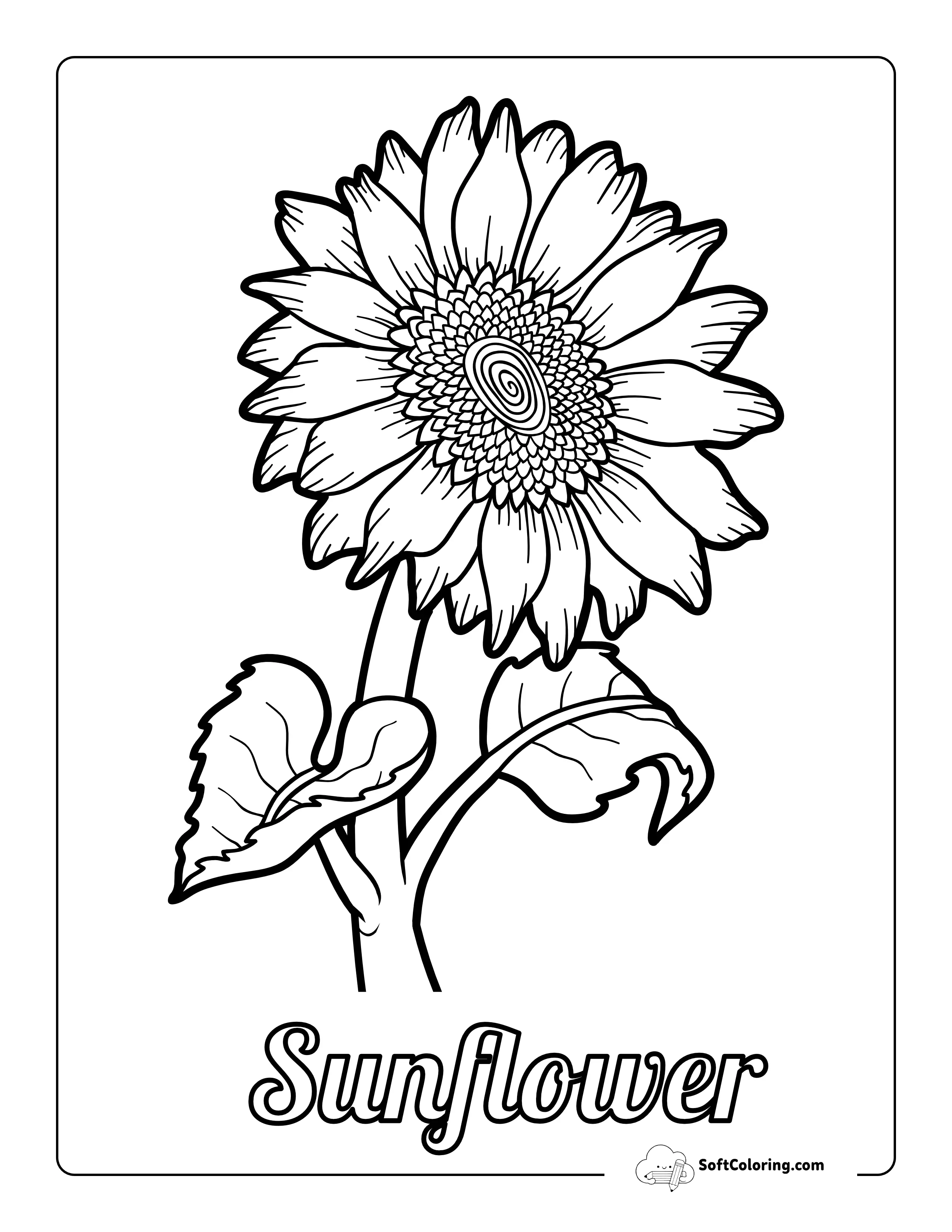 Realistic Printable Sunflower Coloring Sheet