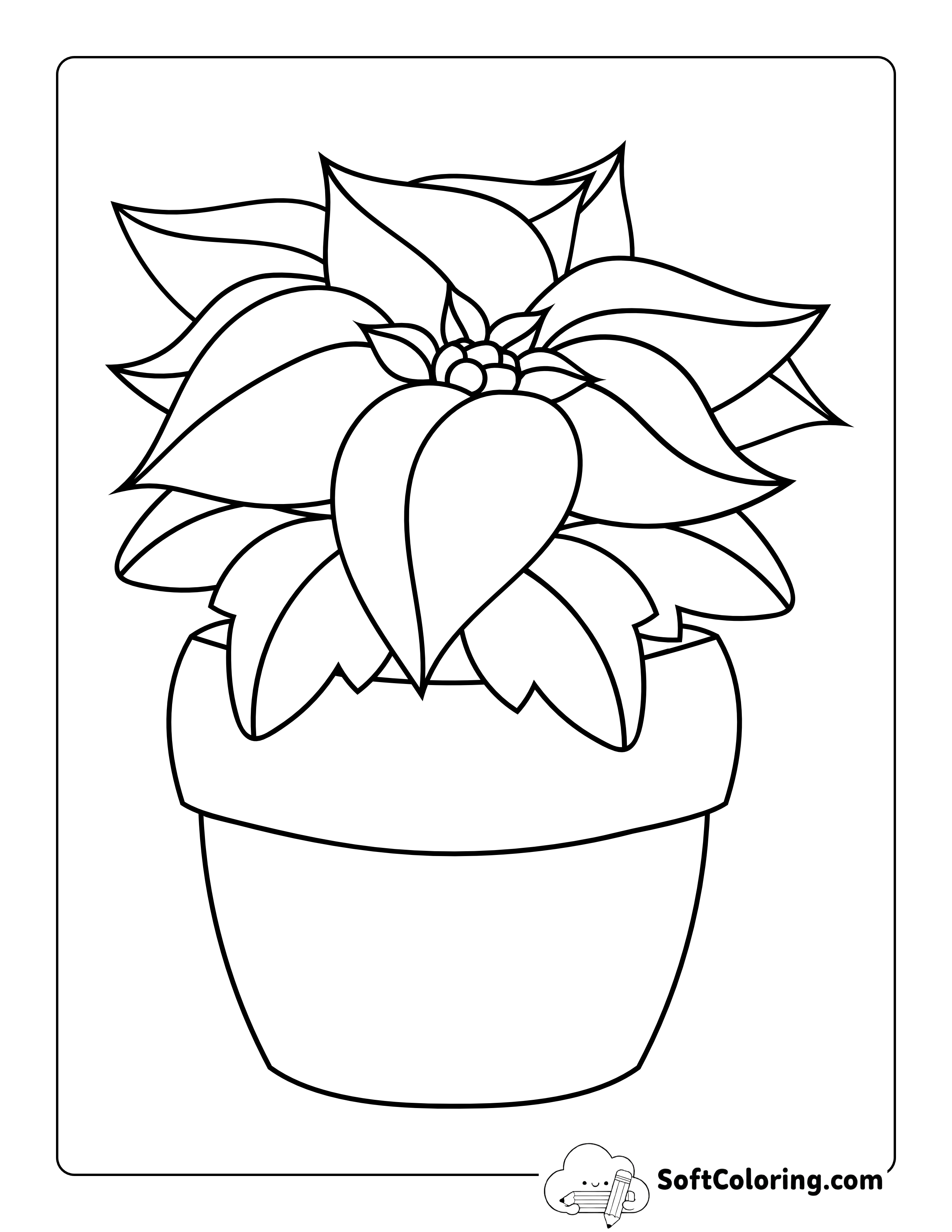 Christmas Poinsettia Coloring Page