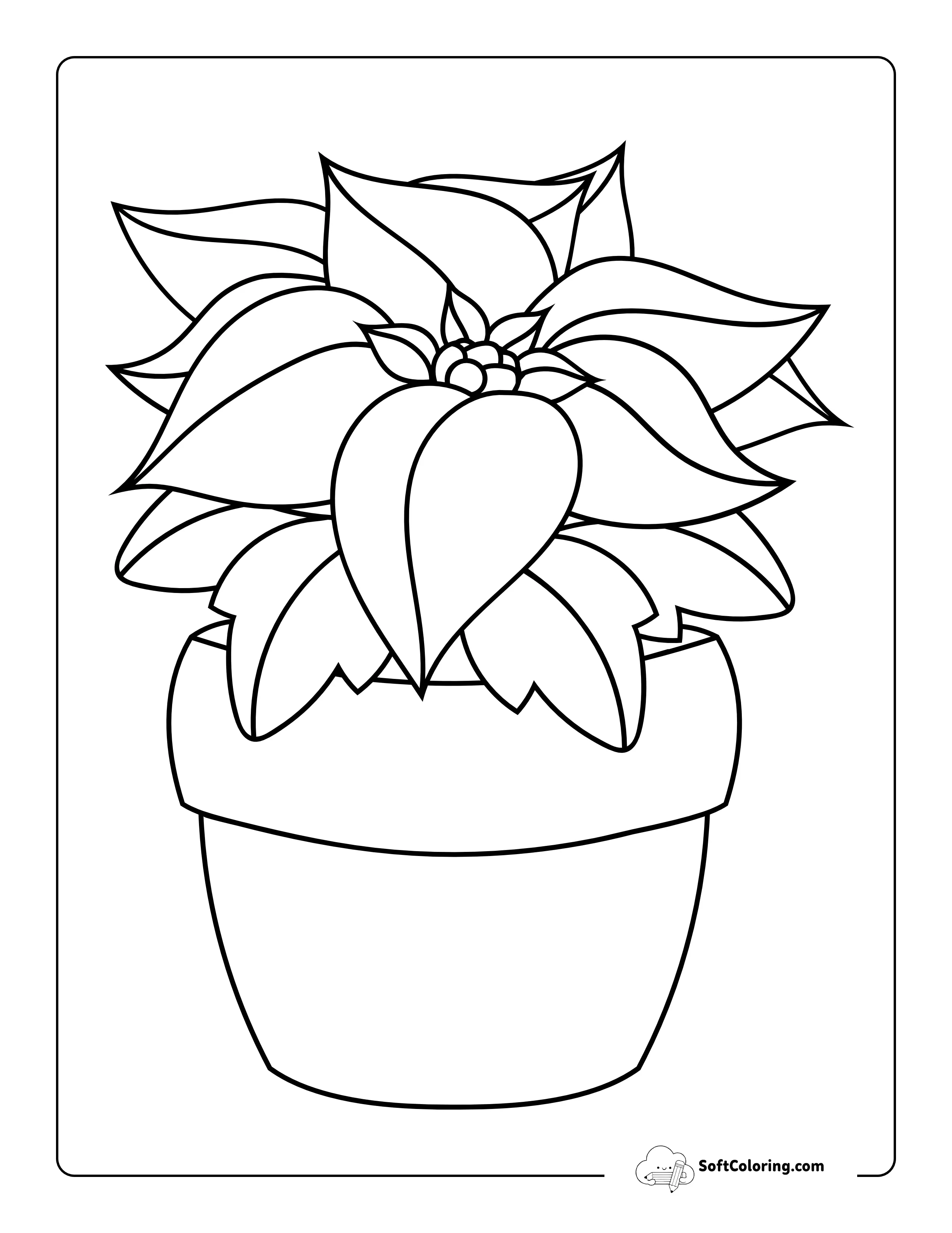 Christmas Poinsettia Coloring Page