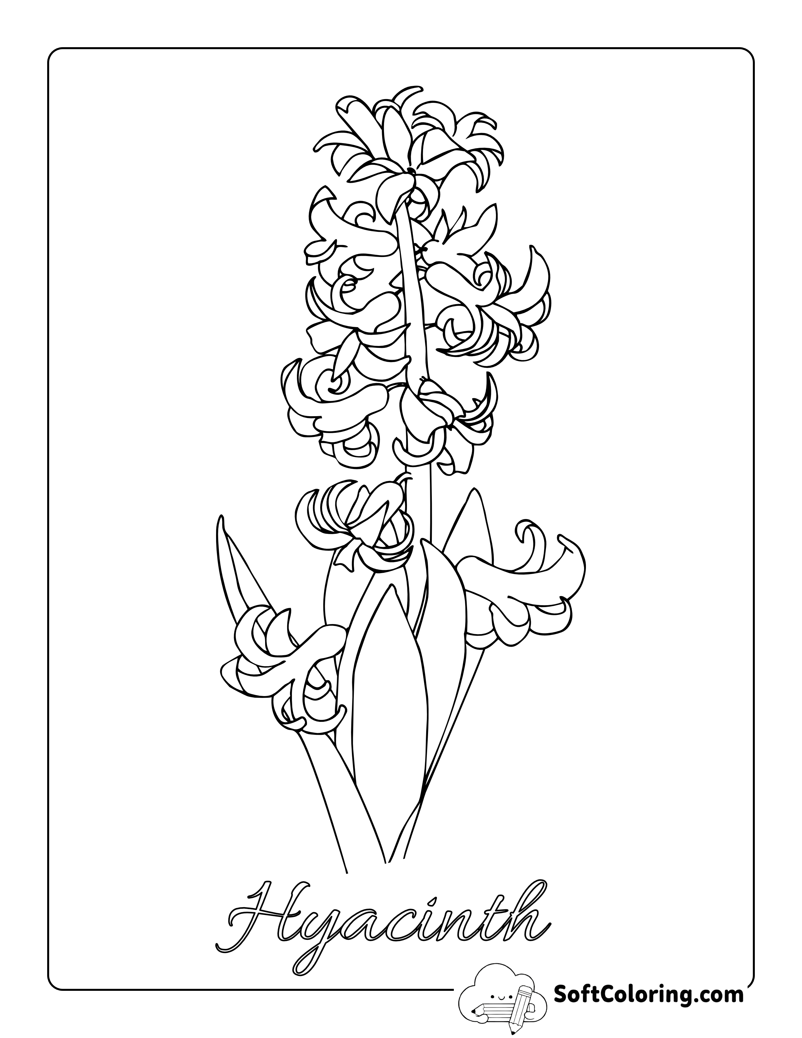 Hyacinth Flower Template