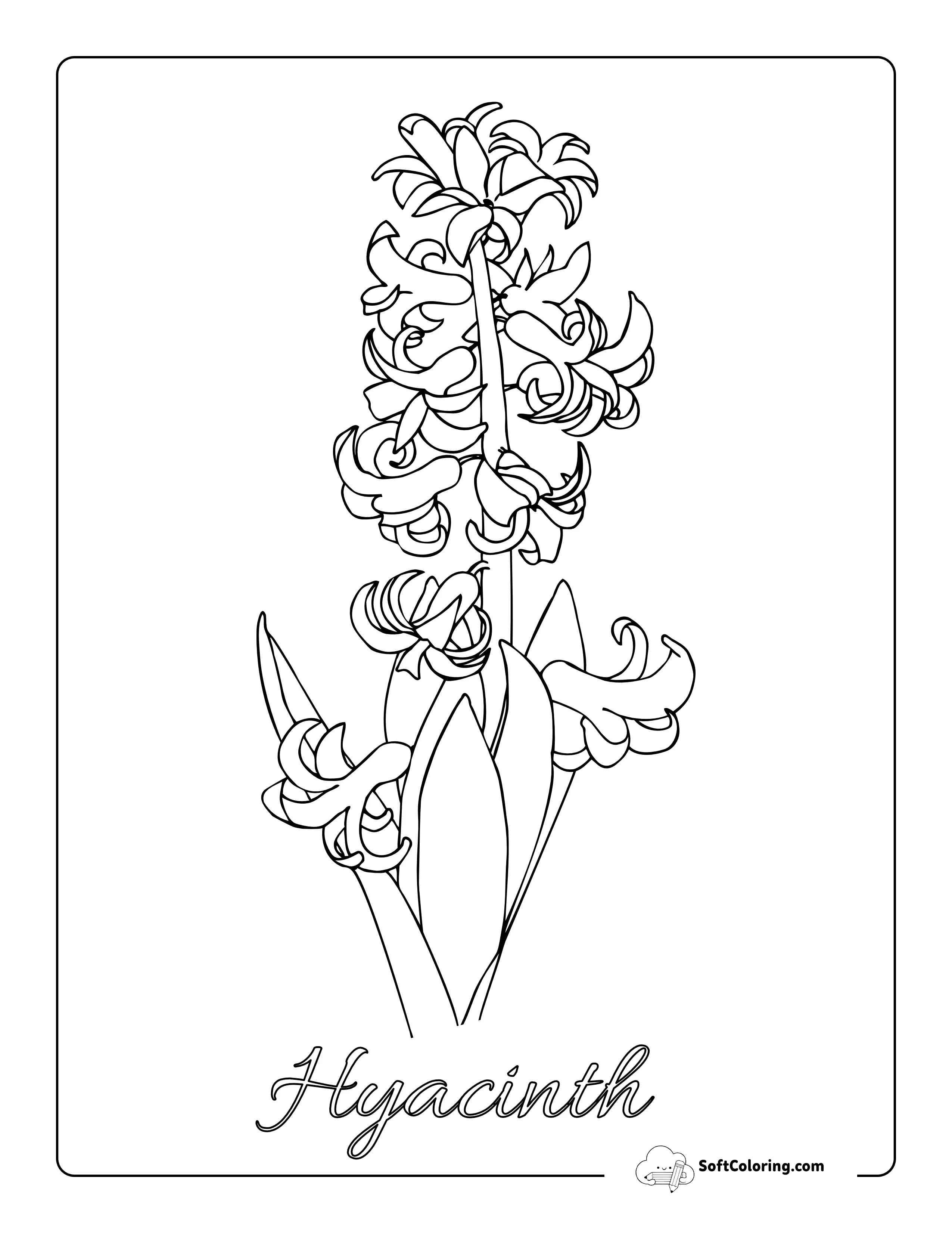 Hyacinth Flower Template