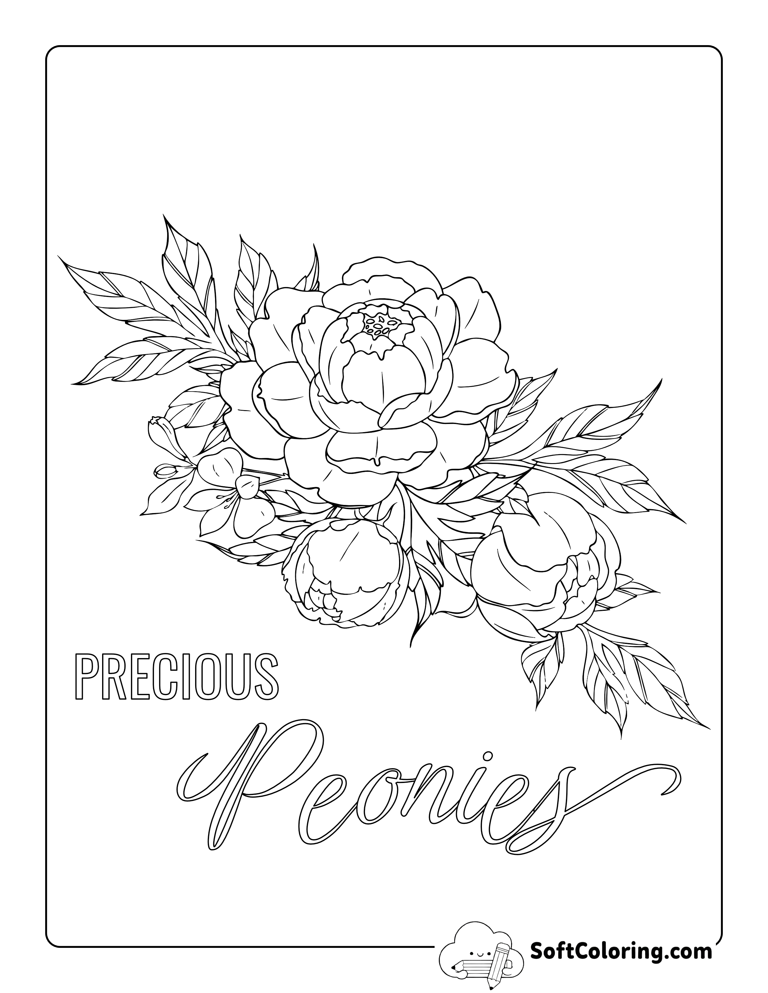 Peony Botanical Drawing to Color