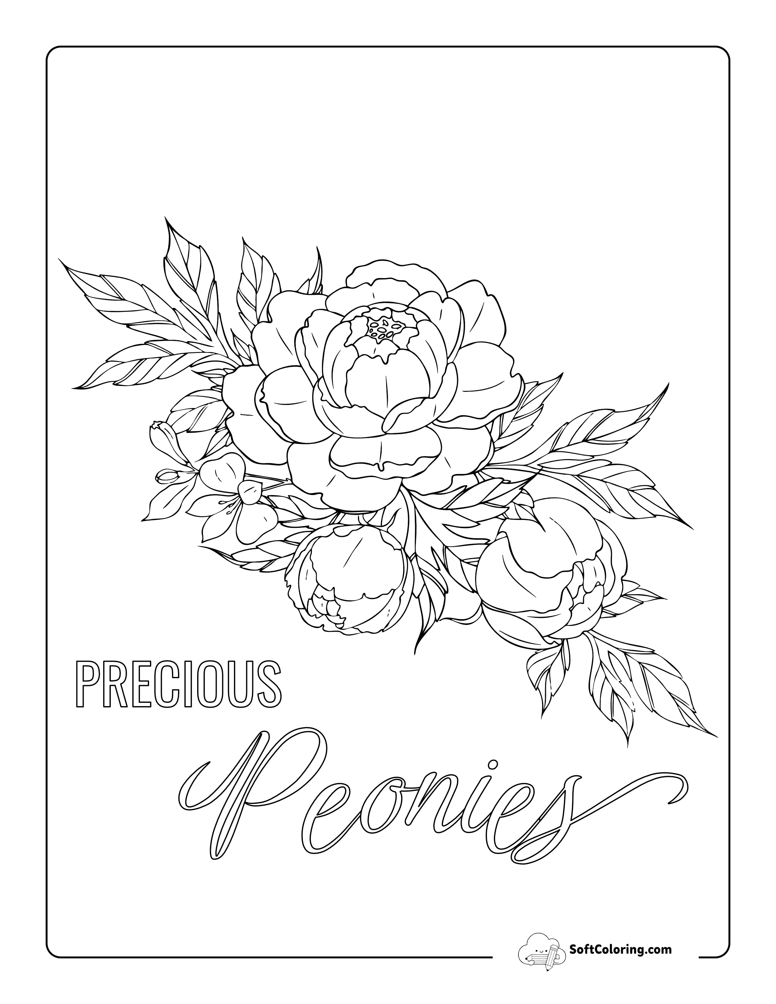 Peony Botanical Drawing To Color