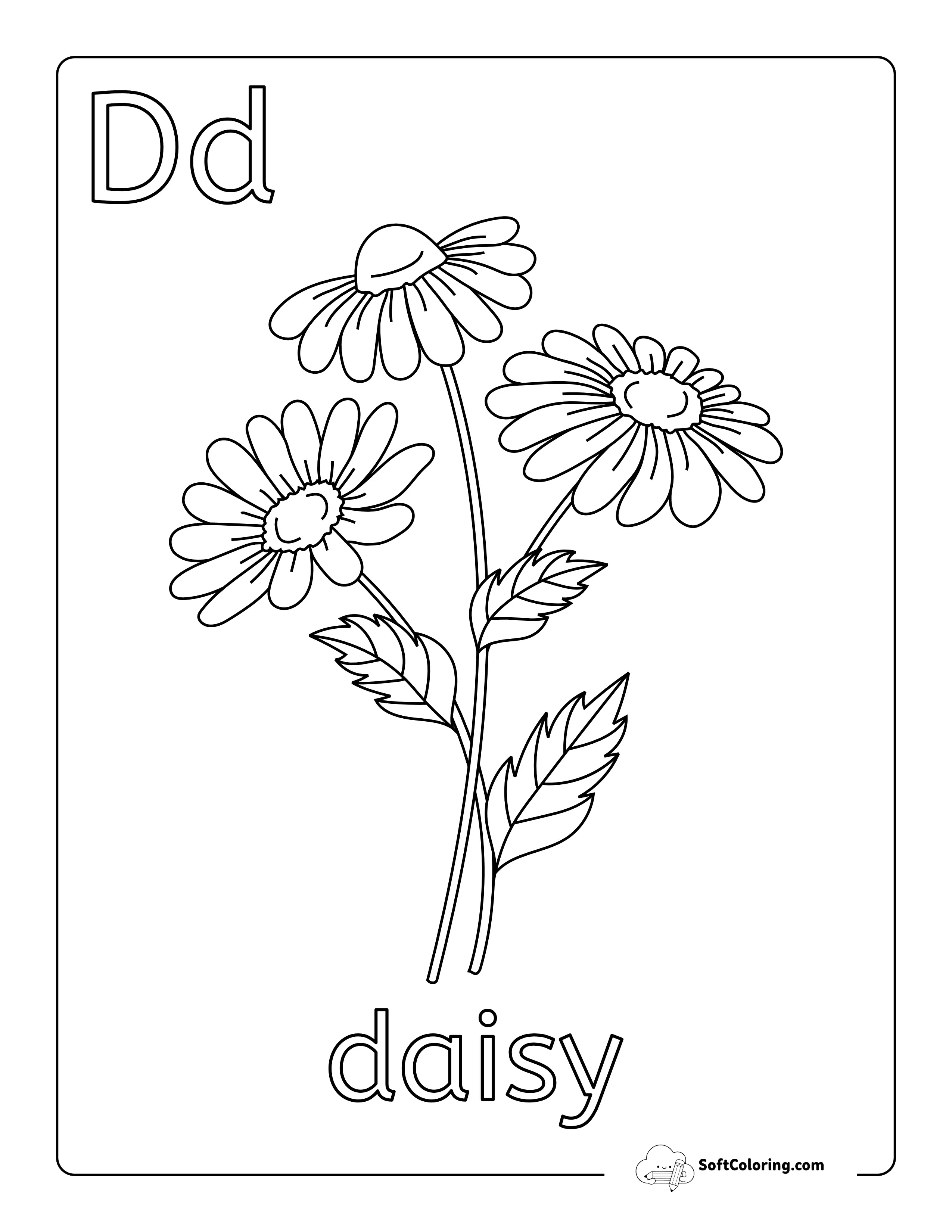 Simple Daisies Flower Coloring Page