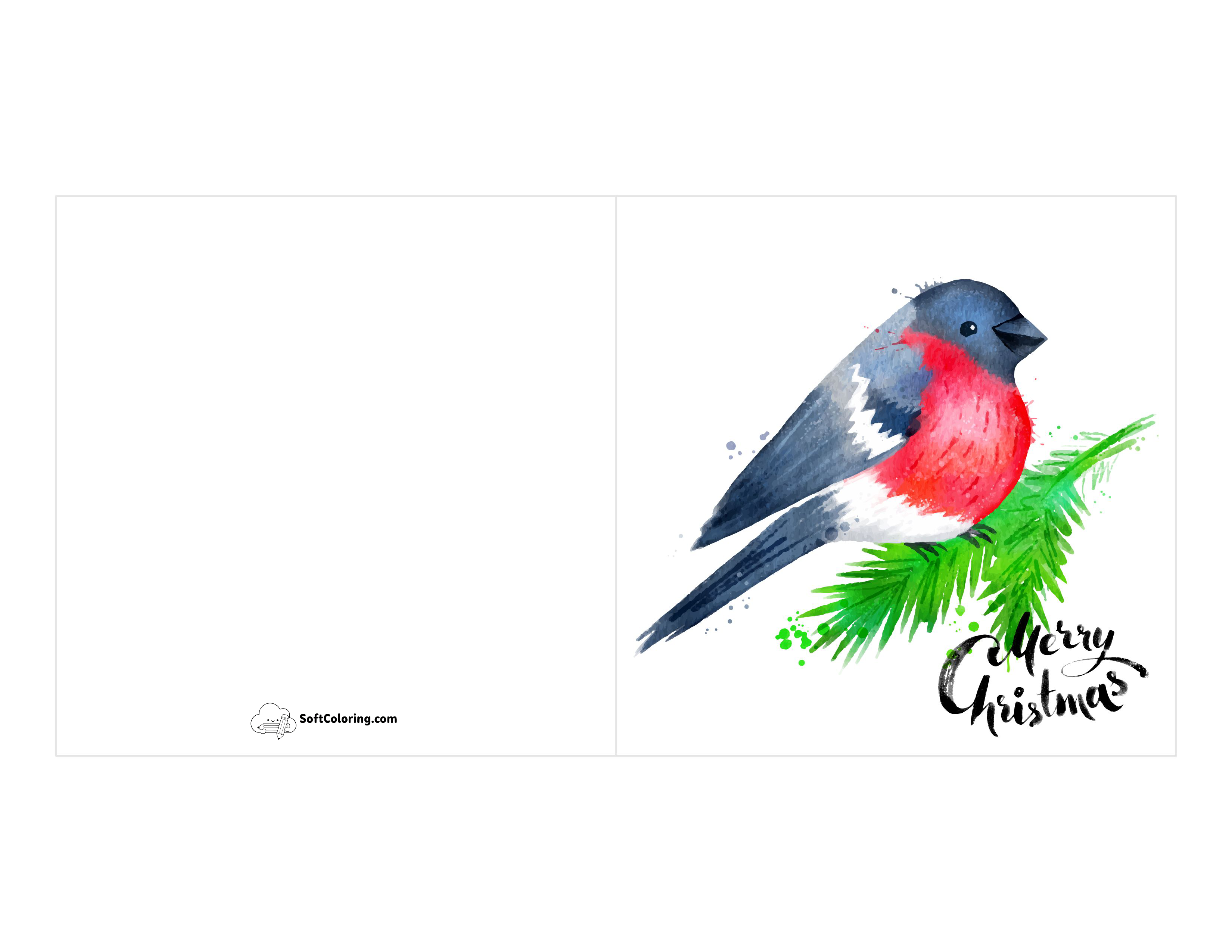 Winter Robin Merry Christmas Card