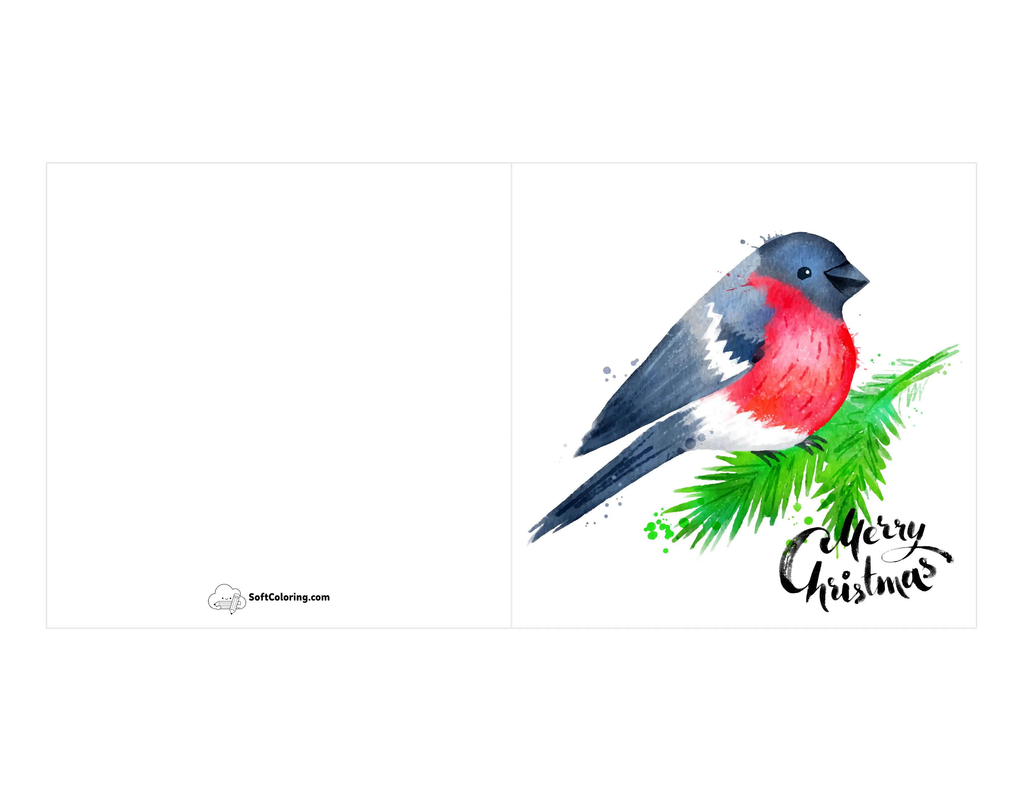 Winter Robin Merry Christmas Card