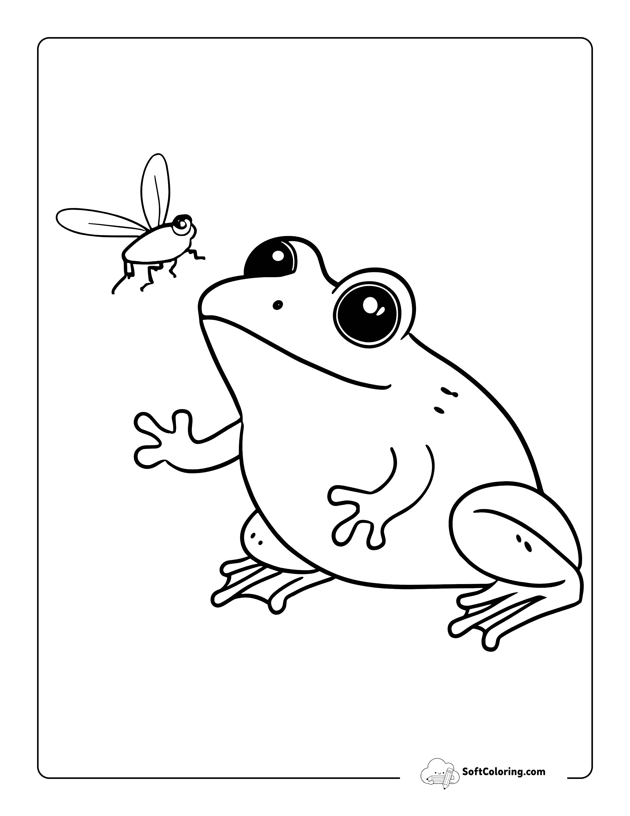 Easy Frog Catching Fly Coloring Sheet For Kids