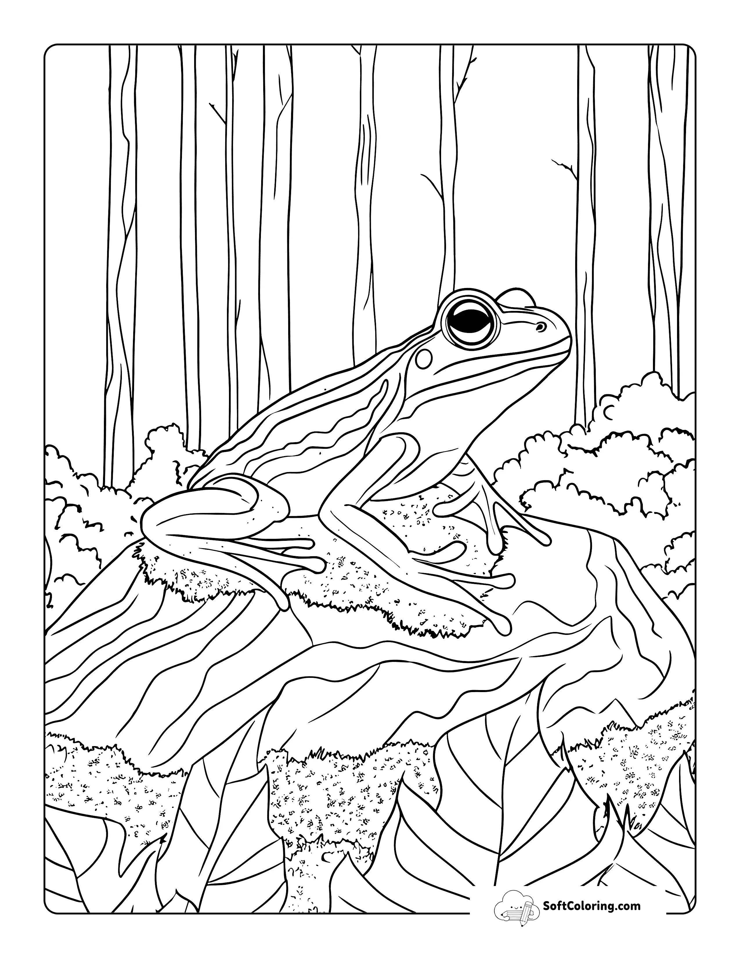 Aesthetic Woodland Frog Coloring Sheet For Adults