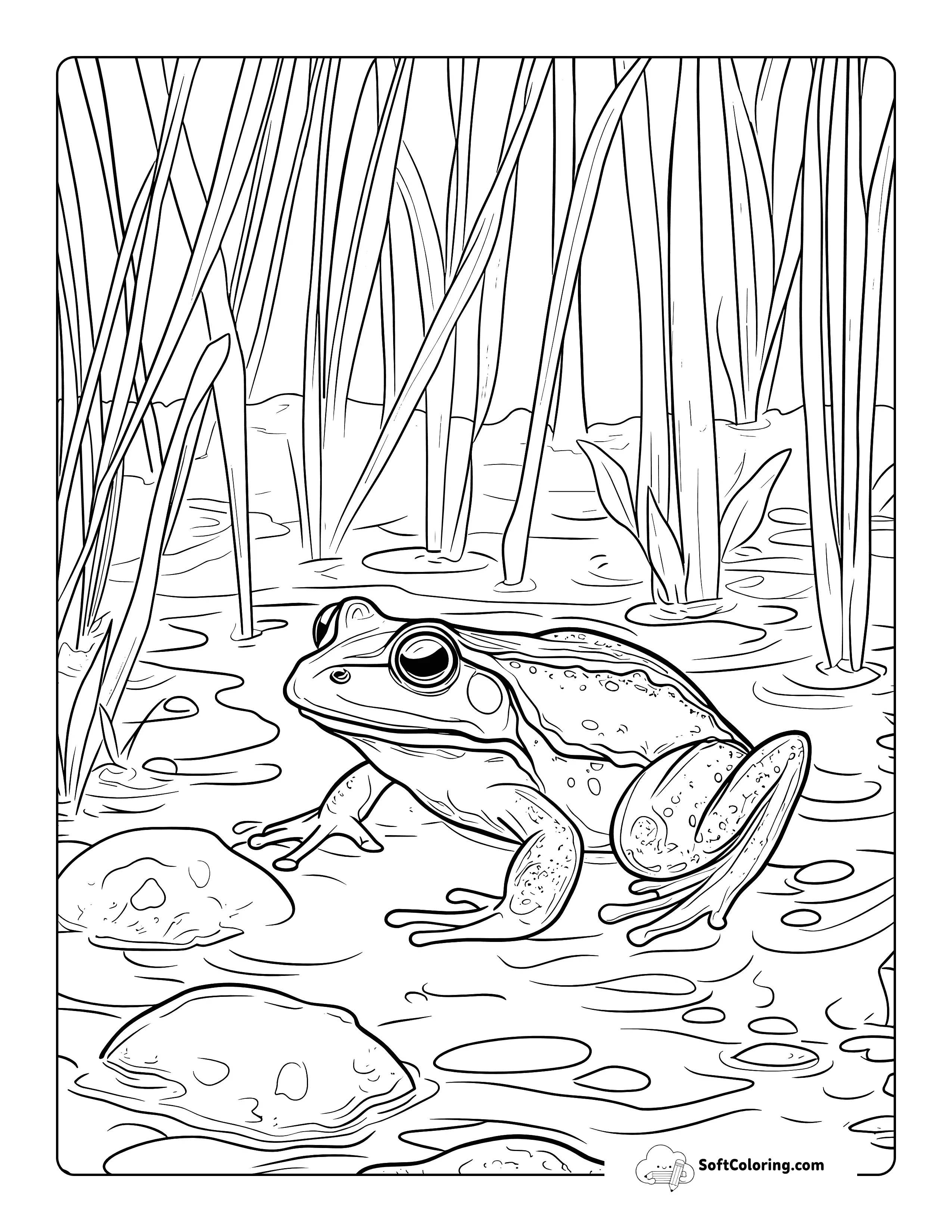Realistic Wetland Frog Coloring Page For Adults