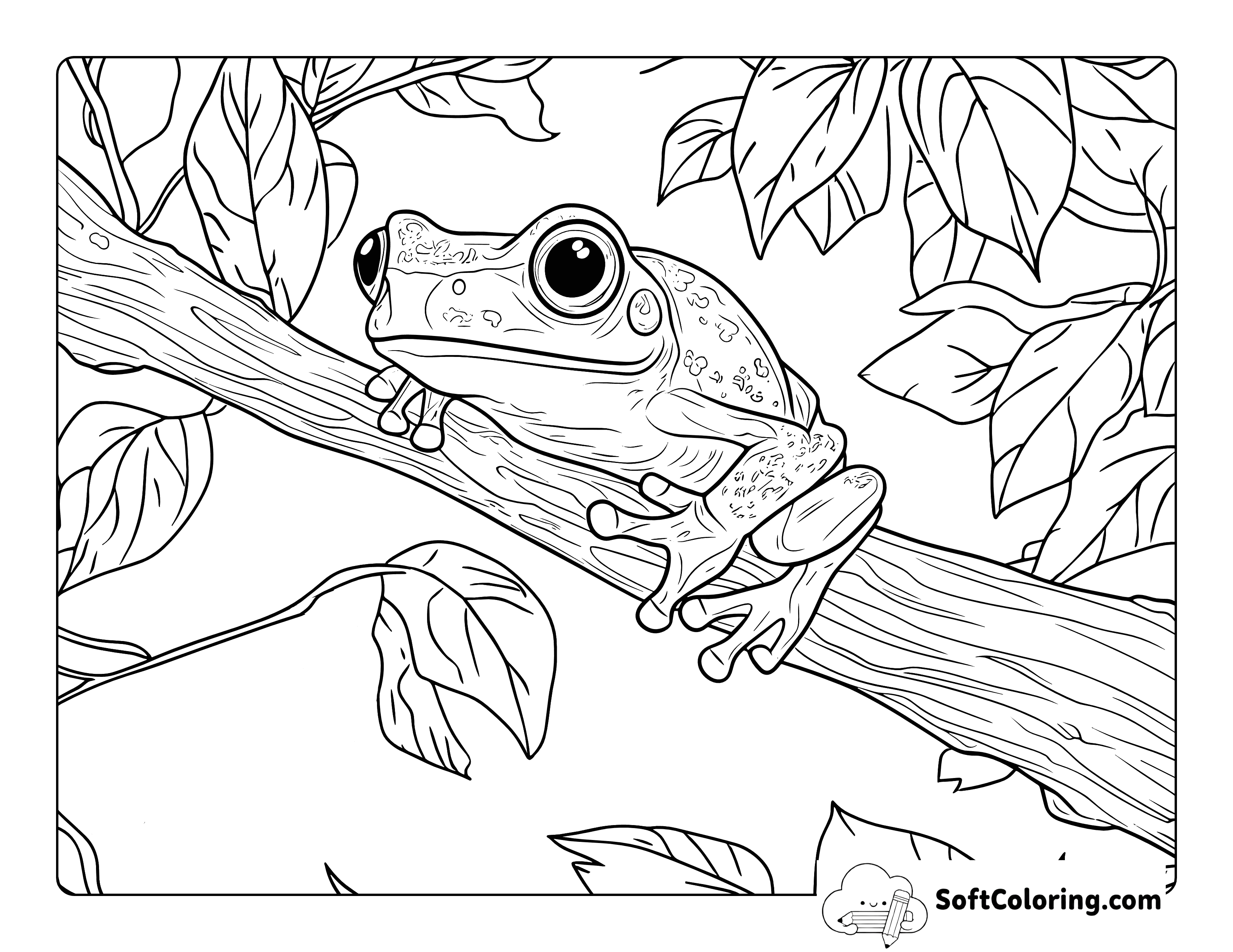 Realistic Tree Frog Coloring Page