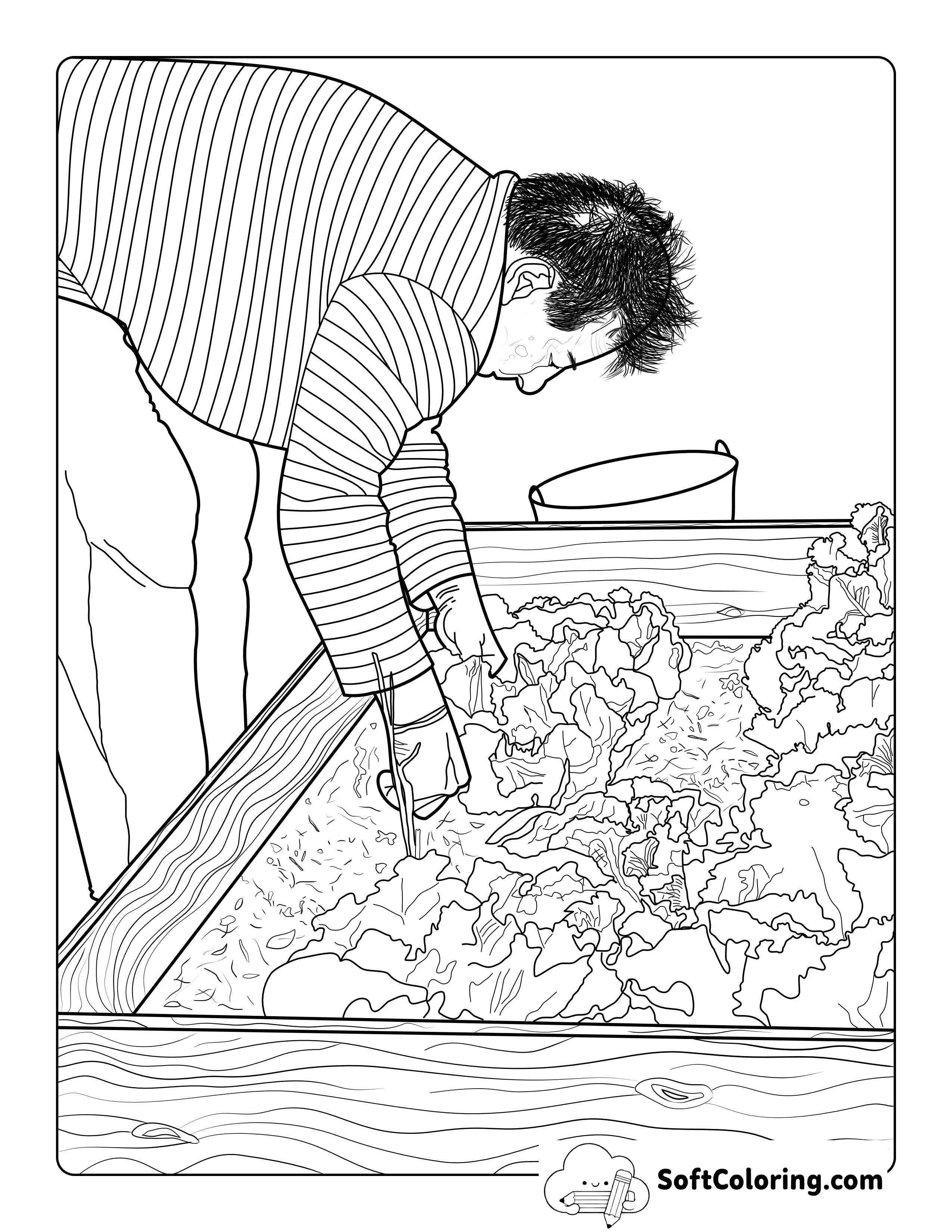 Man Harvesting Lettuce Vegetable Garden Coloring Page for Adults