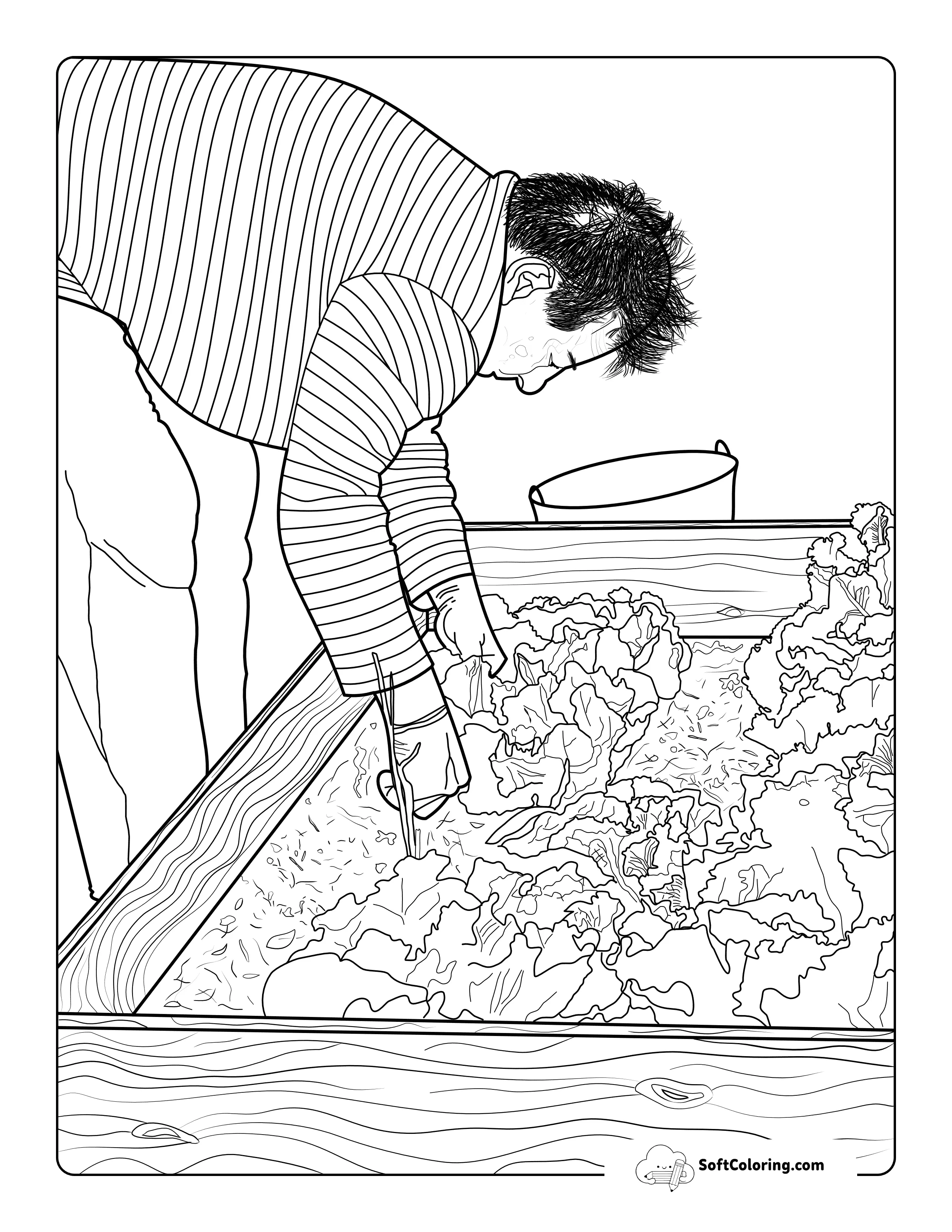 Man Harvesting Lettuce Vegetable Garden Coloring Page For Adults