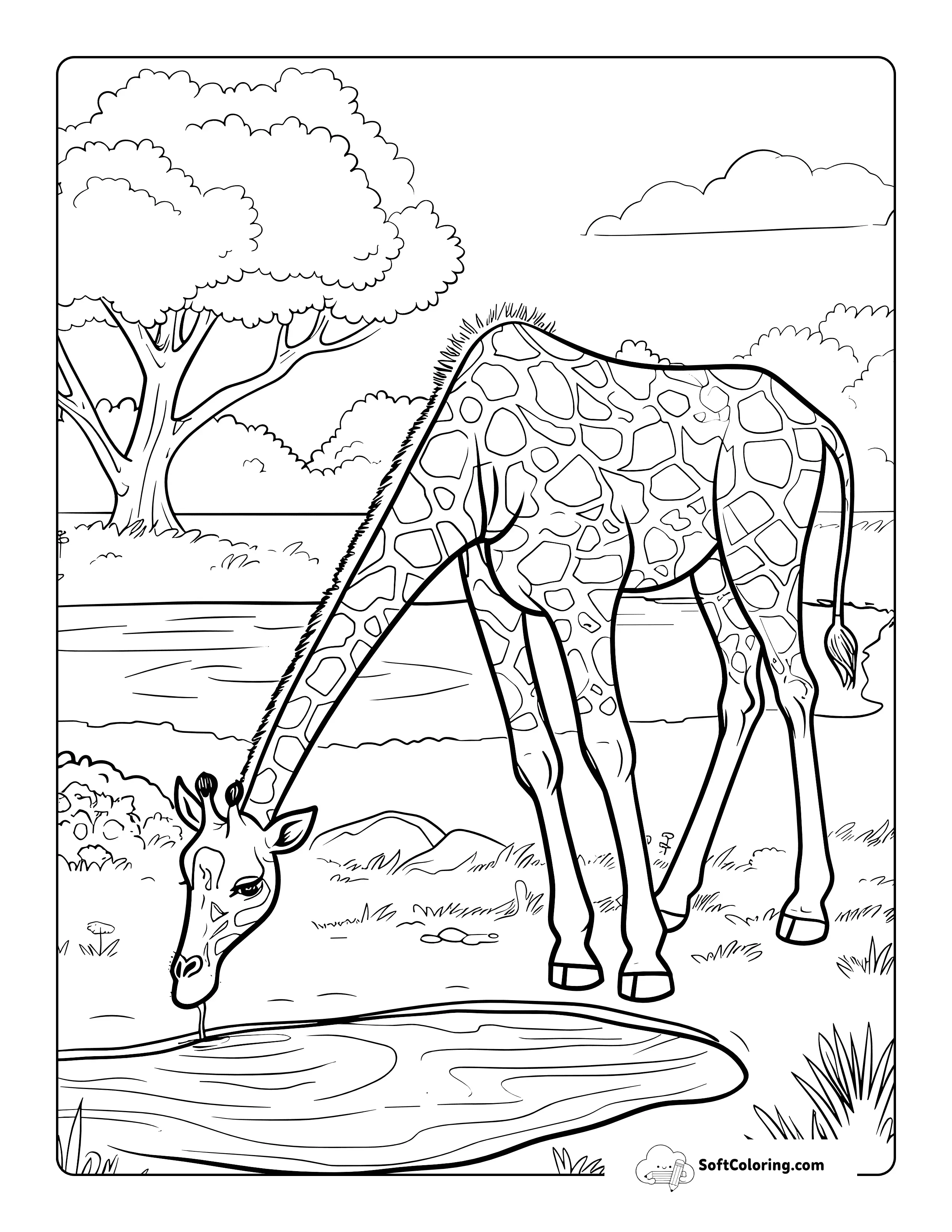 Realistic Giraffe Coloring Page For Adults
