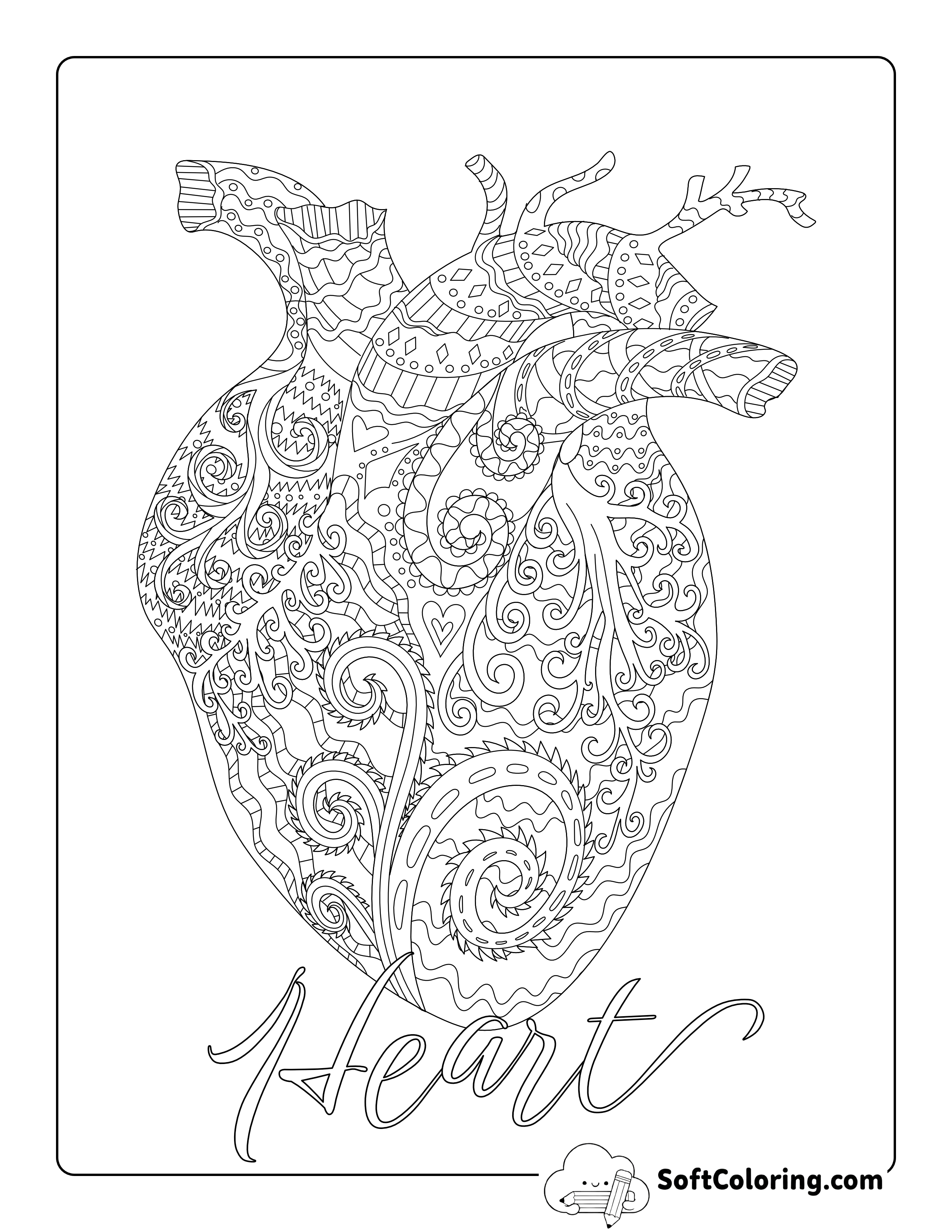 Anatomical Heart-shaped Doodle for Big Kids
