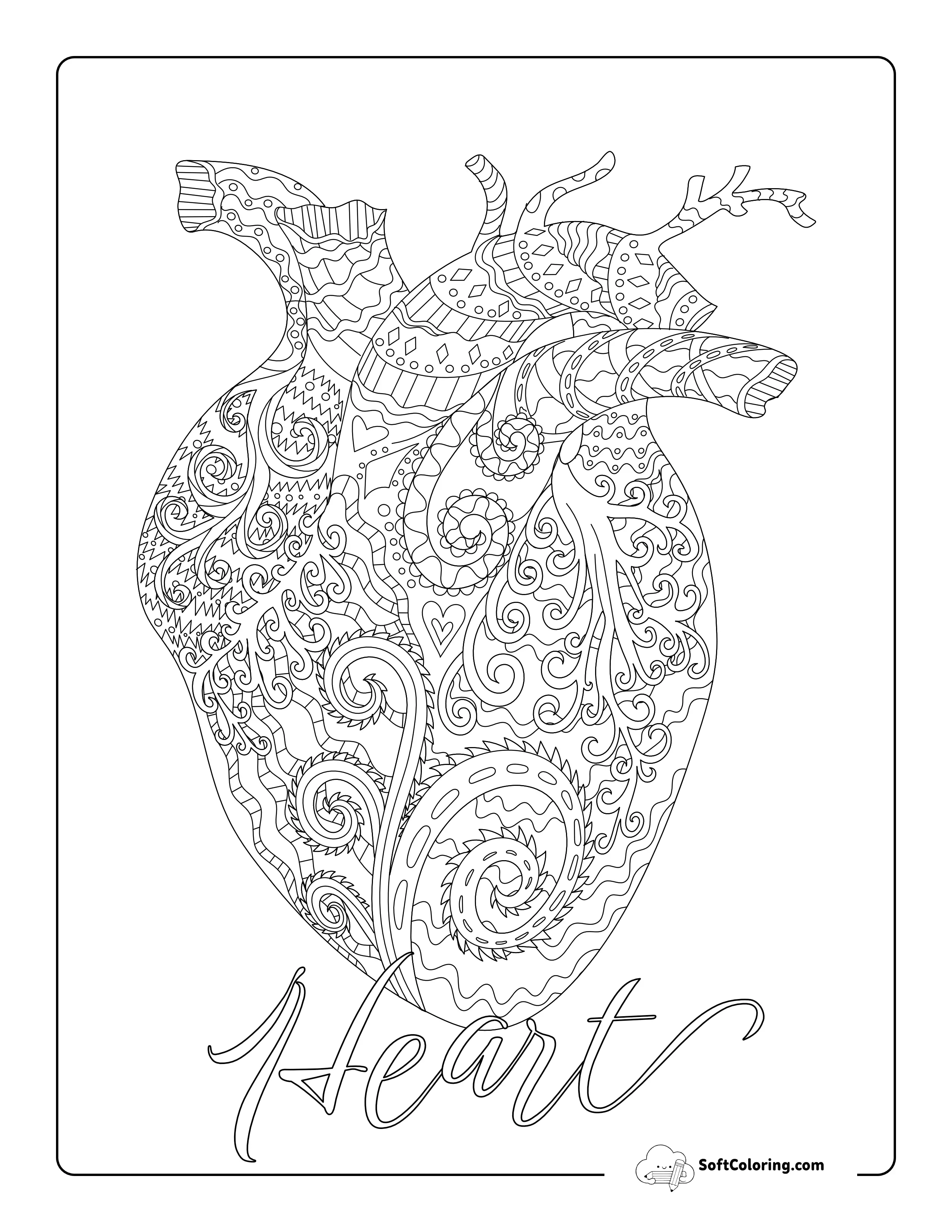Anatomical Heart-Shaped Doodle For Big Kids