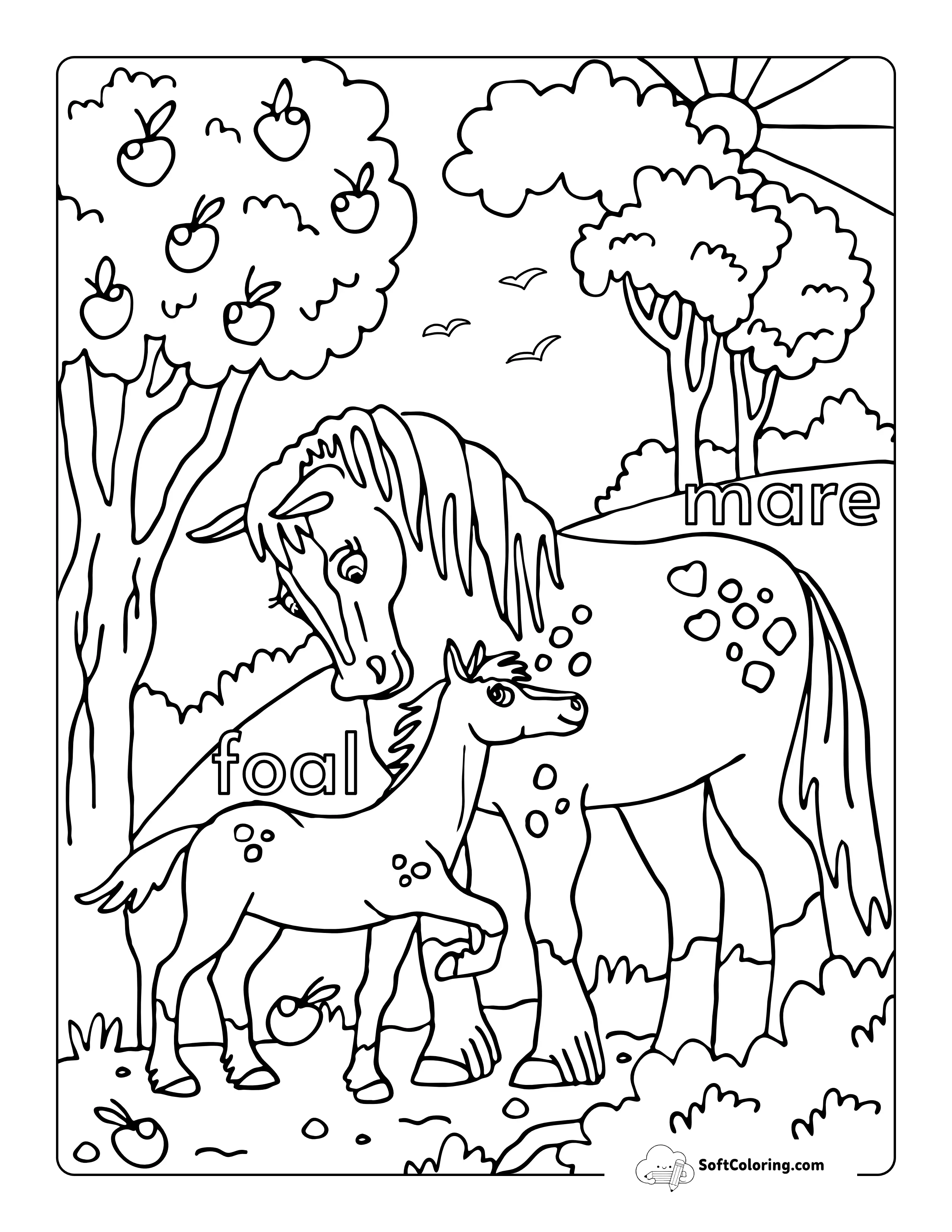 Horse With Baby Foal Coloring Sheet