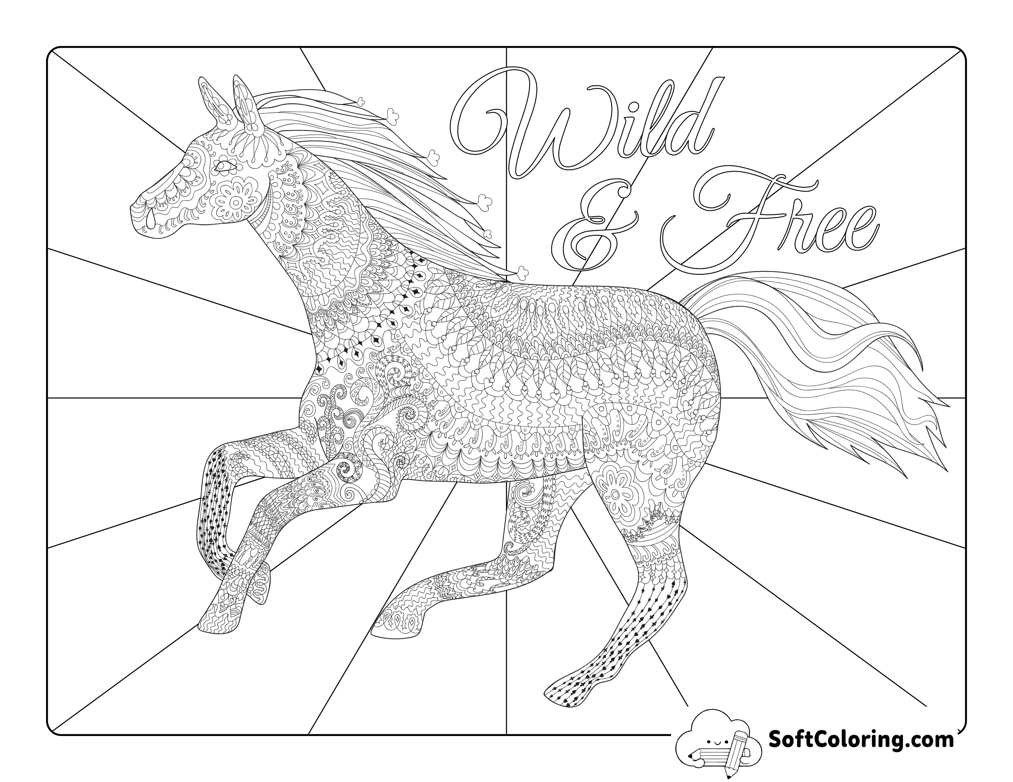 Free Horse Picture for Adults to Color