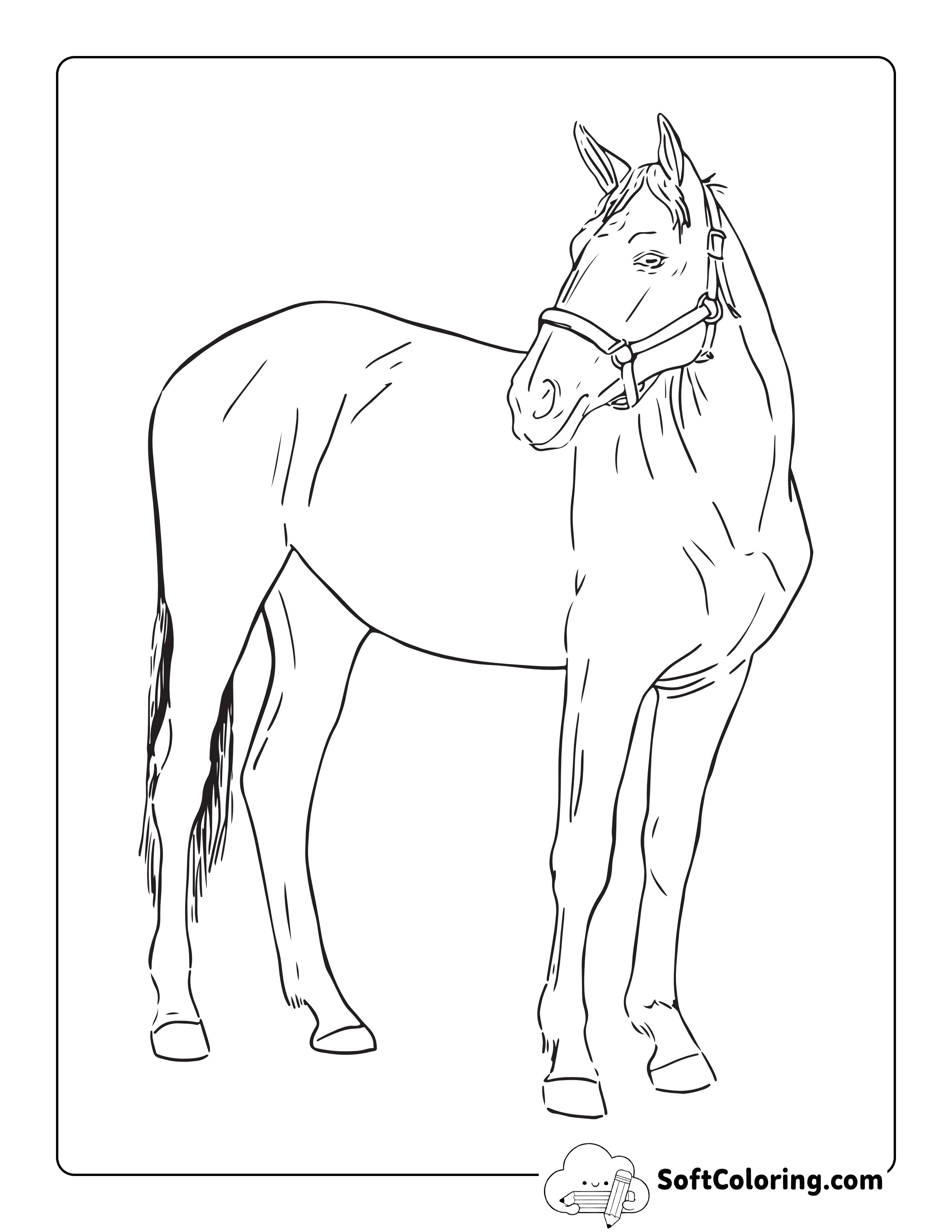 Simple Horse Sketch Printable to Color