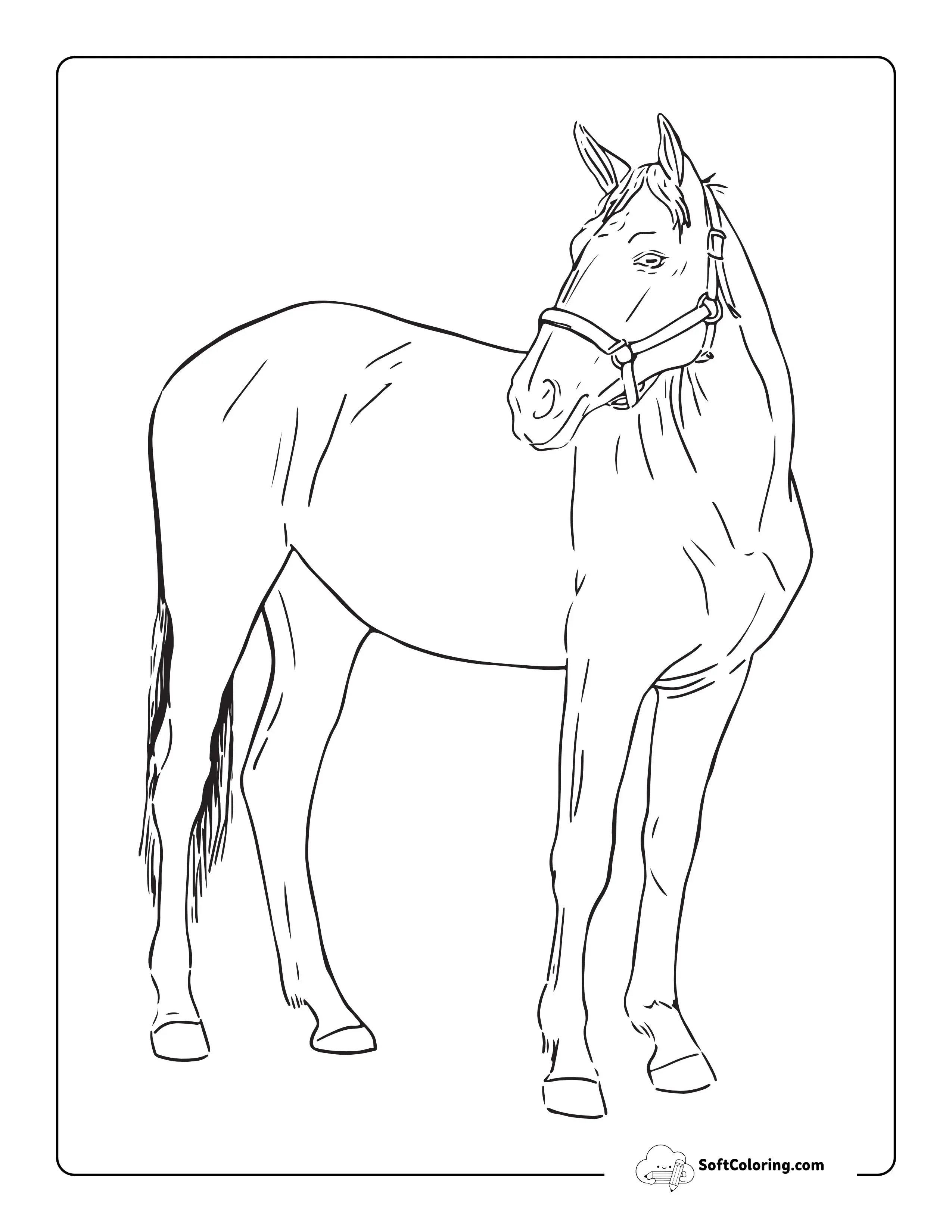 Simple Horse Sketch Printable To Color