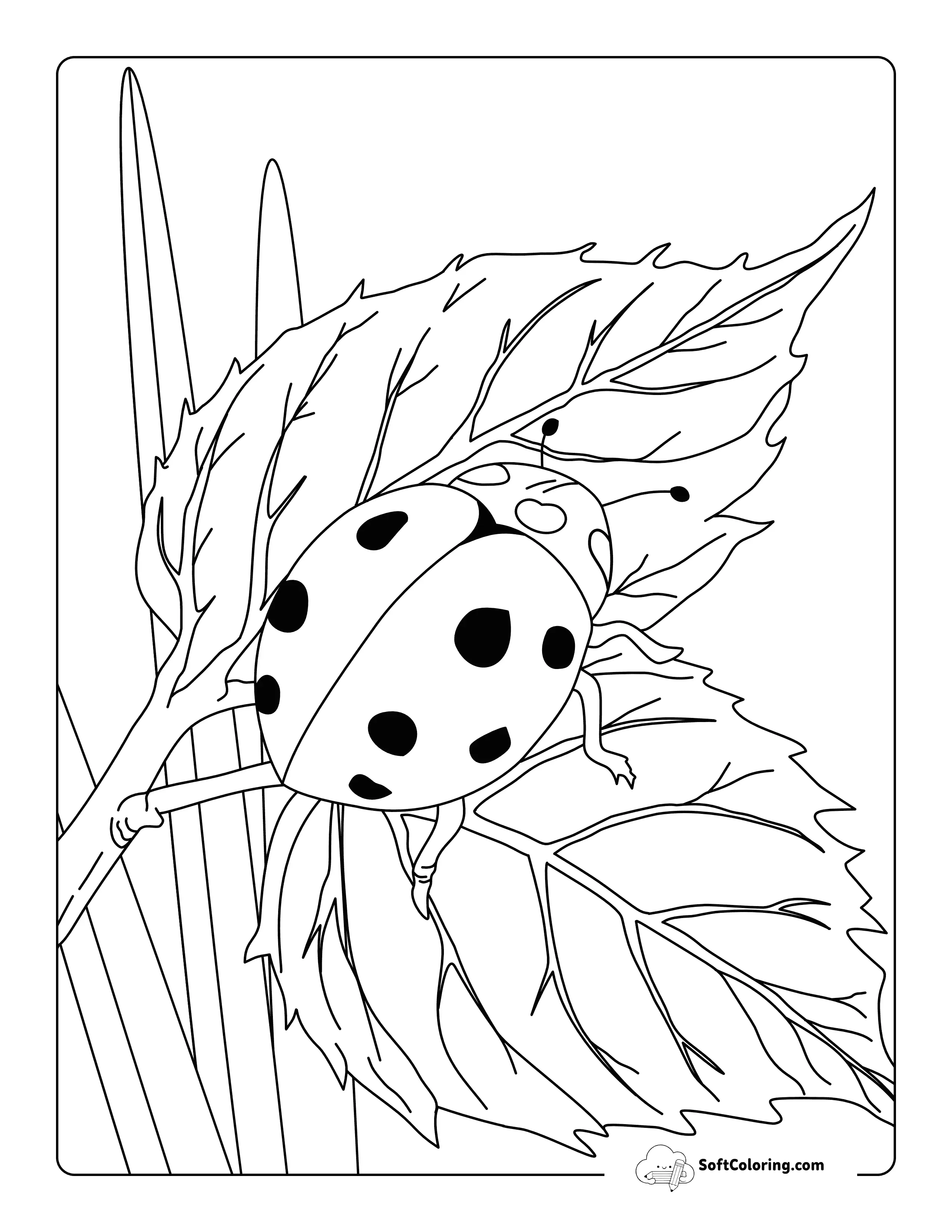 Ladybug On Leaf Coloring Page