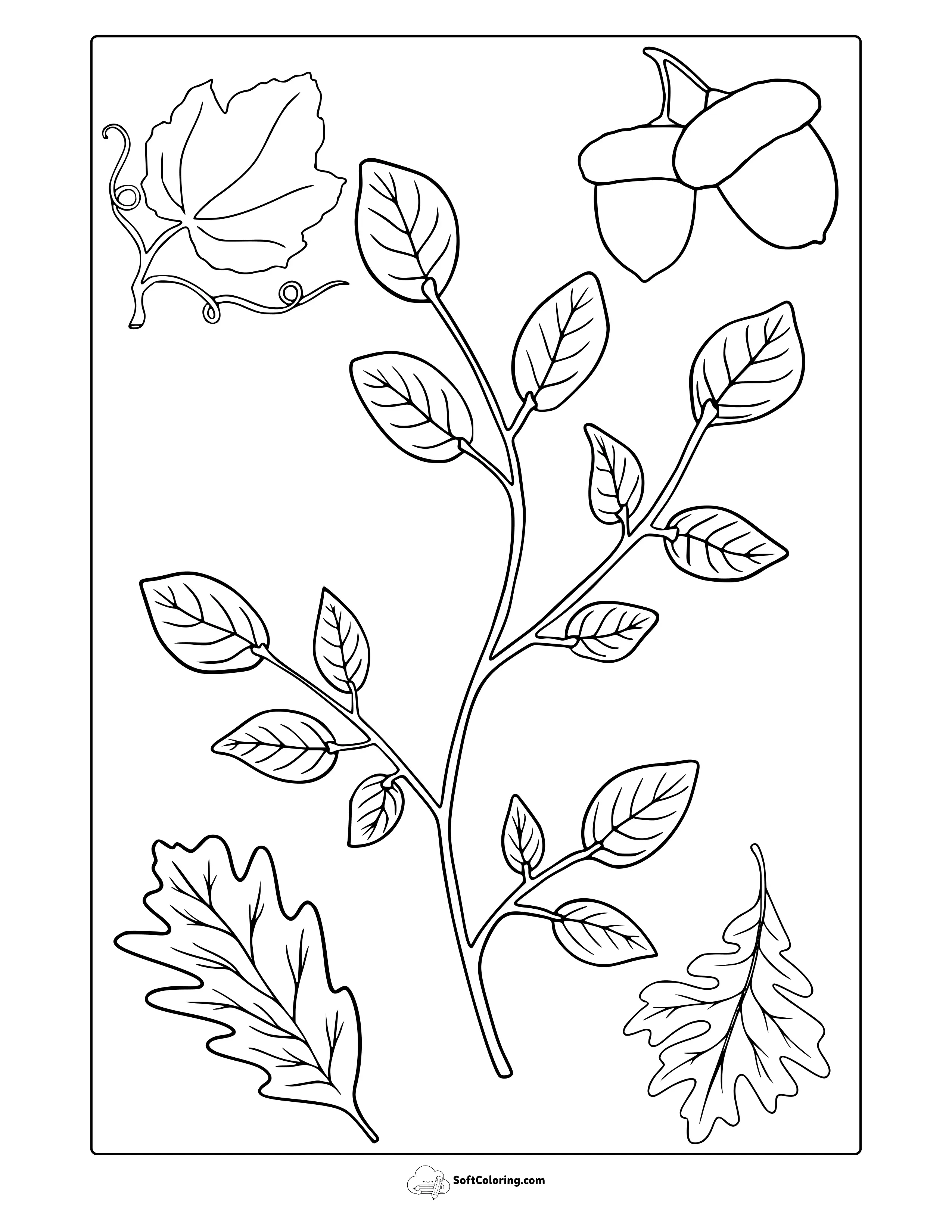 Large November Leaves Coloring Page