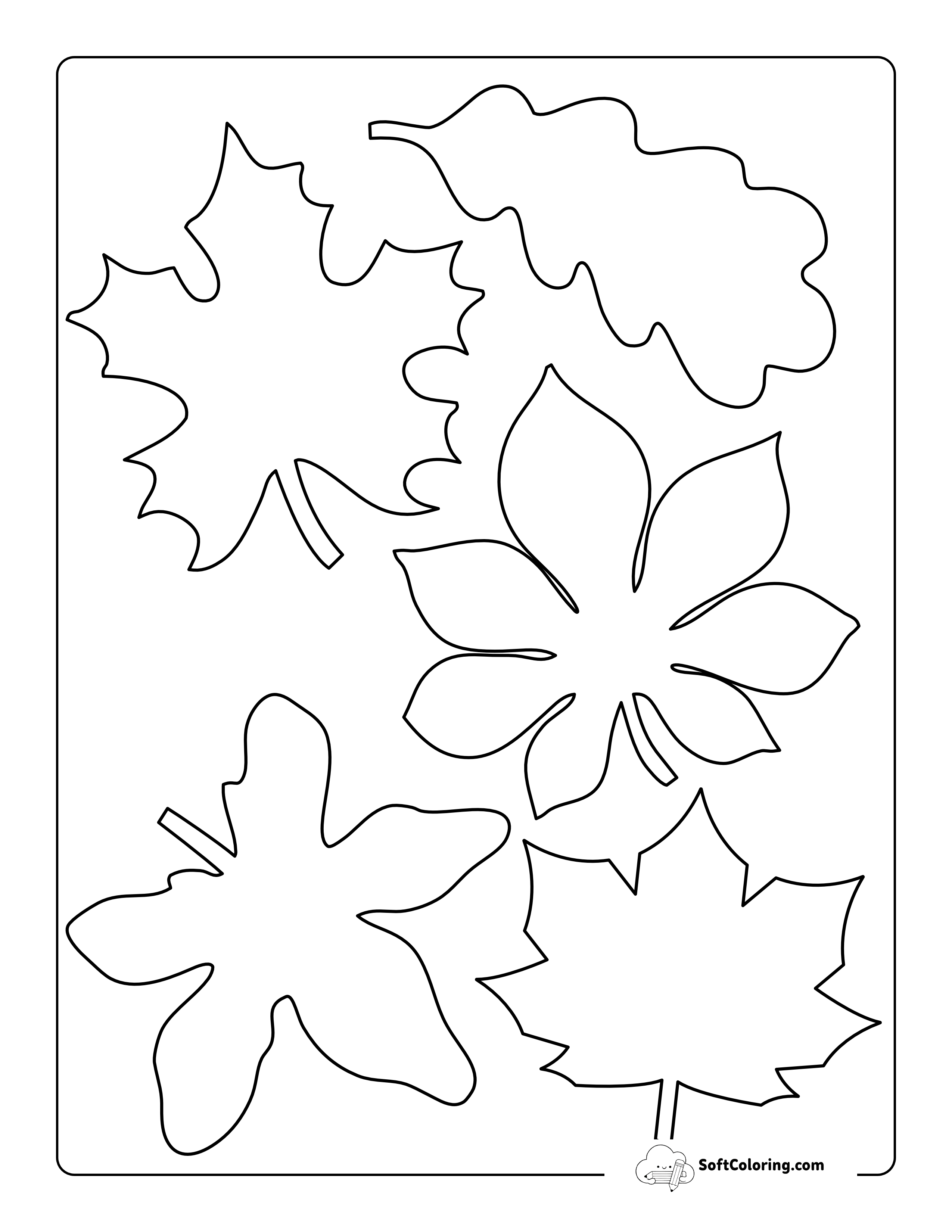 Autumn & Fall Leaf Outlines (Incl. Maple, Oak, Chestnut)