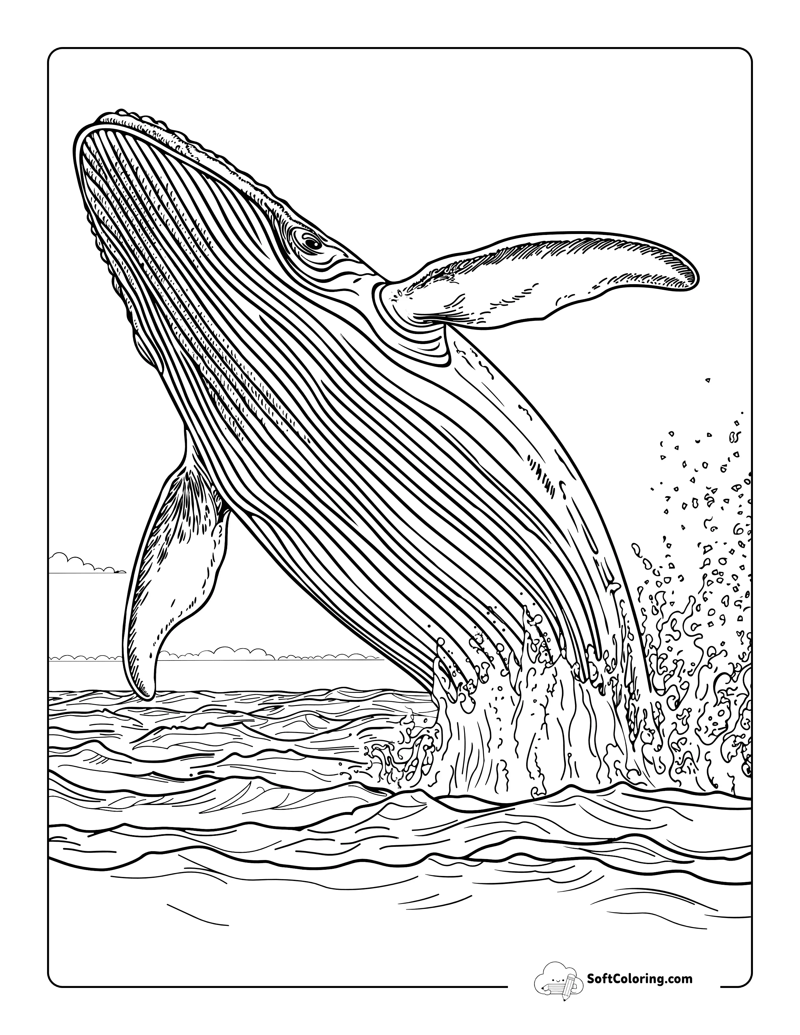 Realistic Humpback Whale Sea Animal Coloring Page