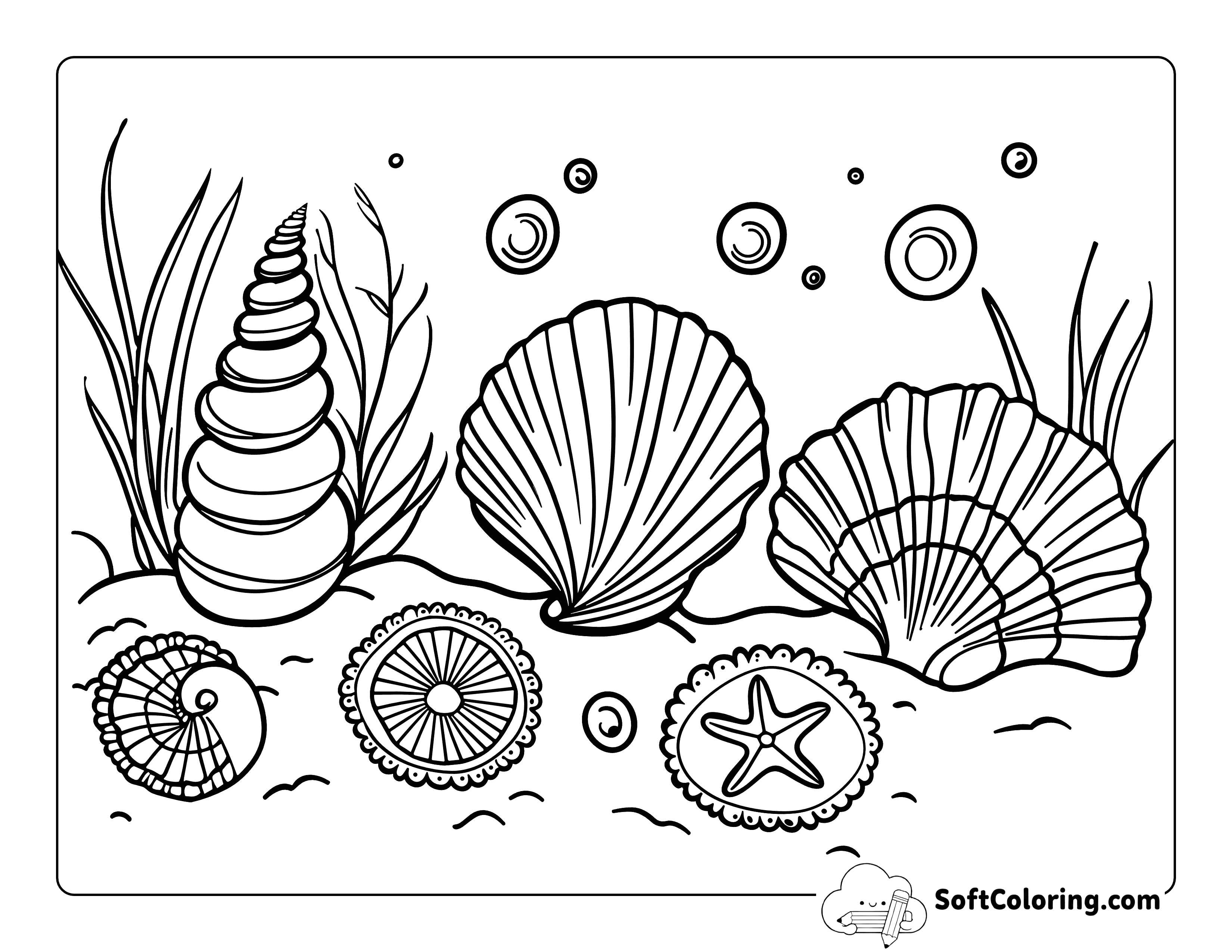 Easy Sea Shell Ocean Coloring Sheet