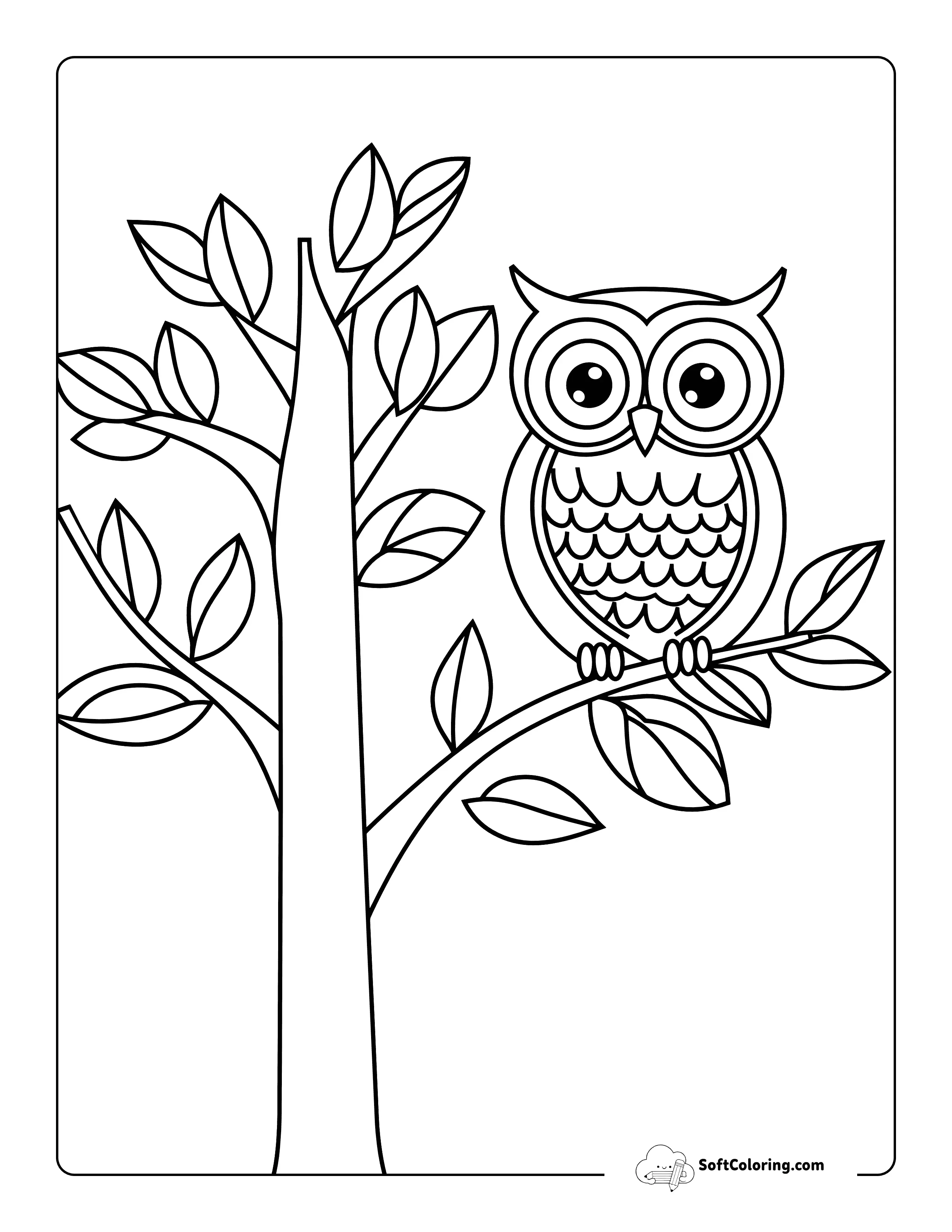Easy Owl In A Tree Printable To Color